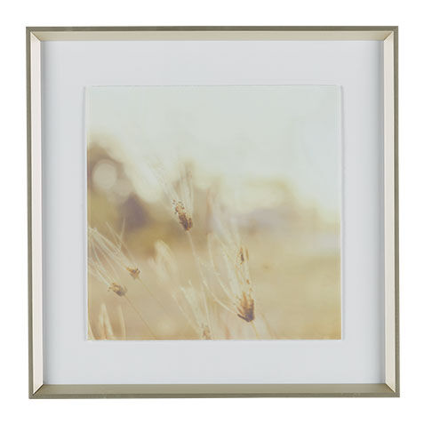 Natural Glow II image 073140B