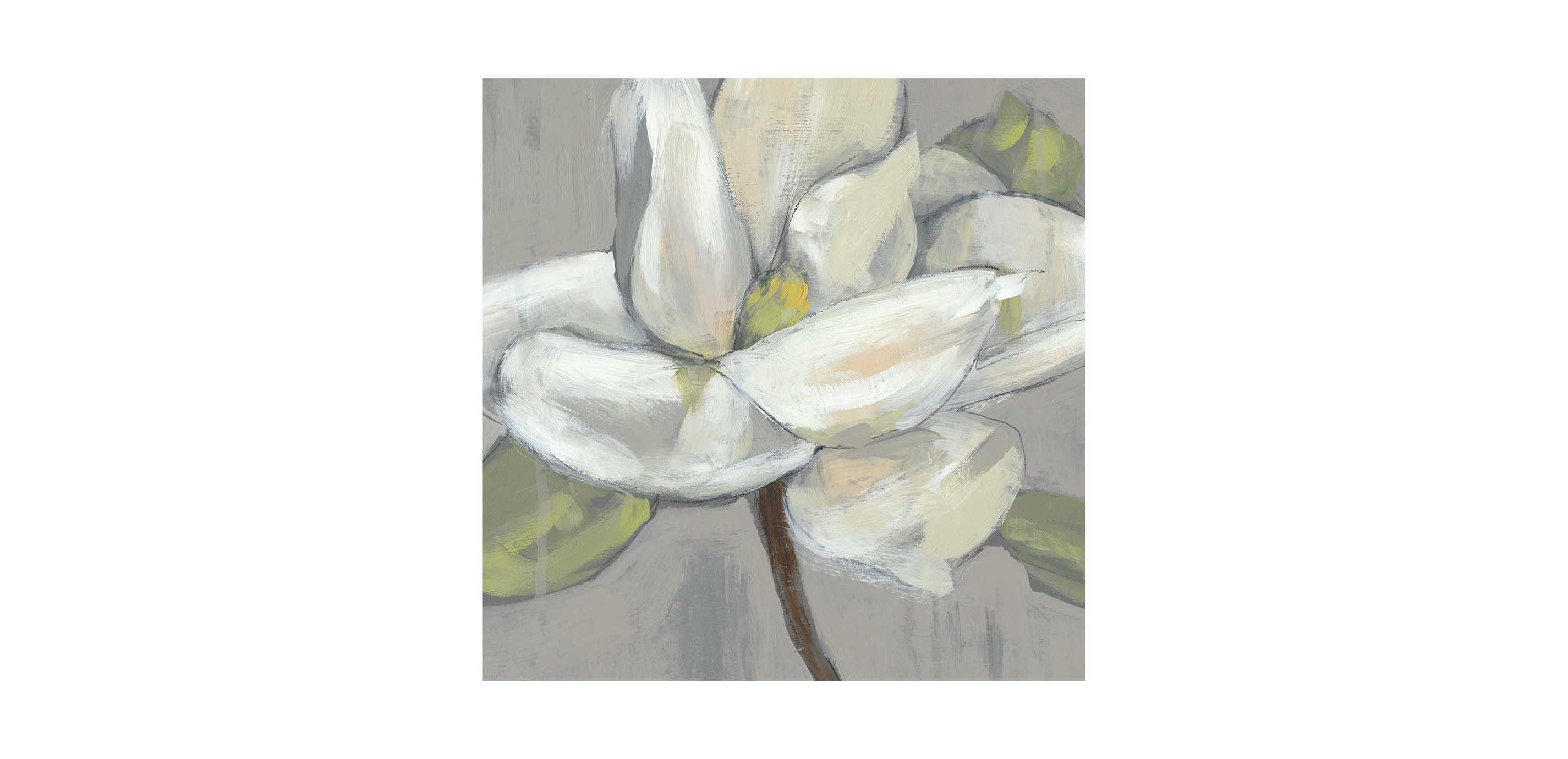 Magnolia on Gray