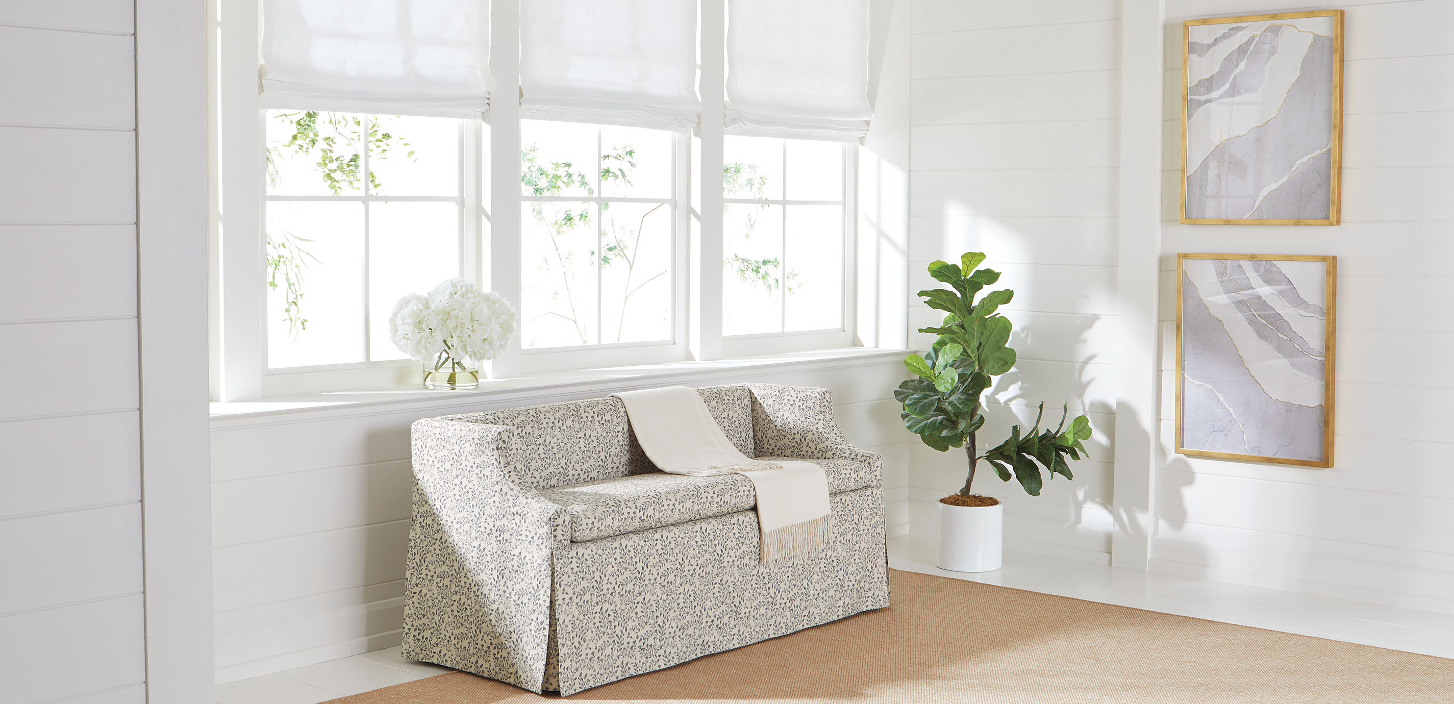 Fiddle-Leaf Tree in White Pot_3