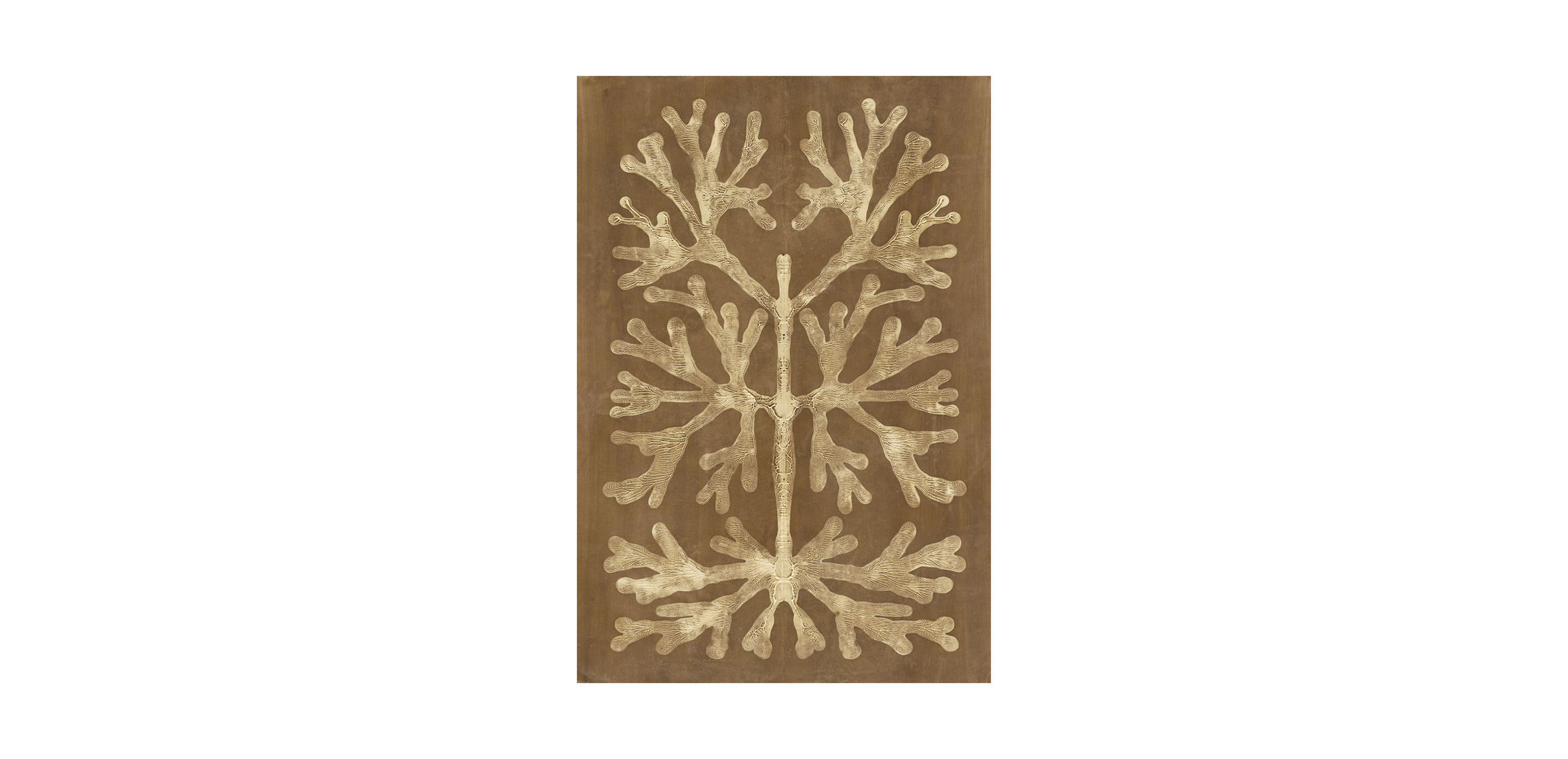 Umber Curiosities I