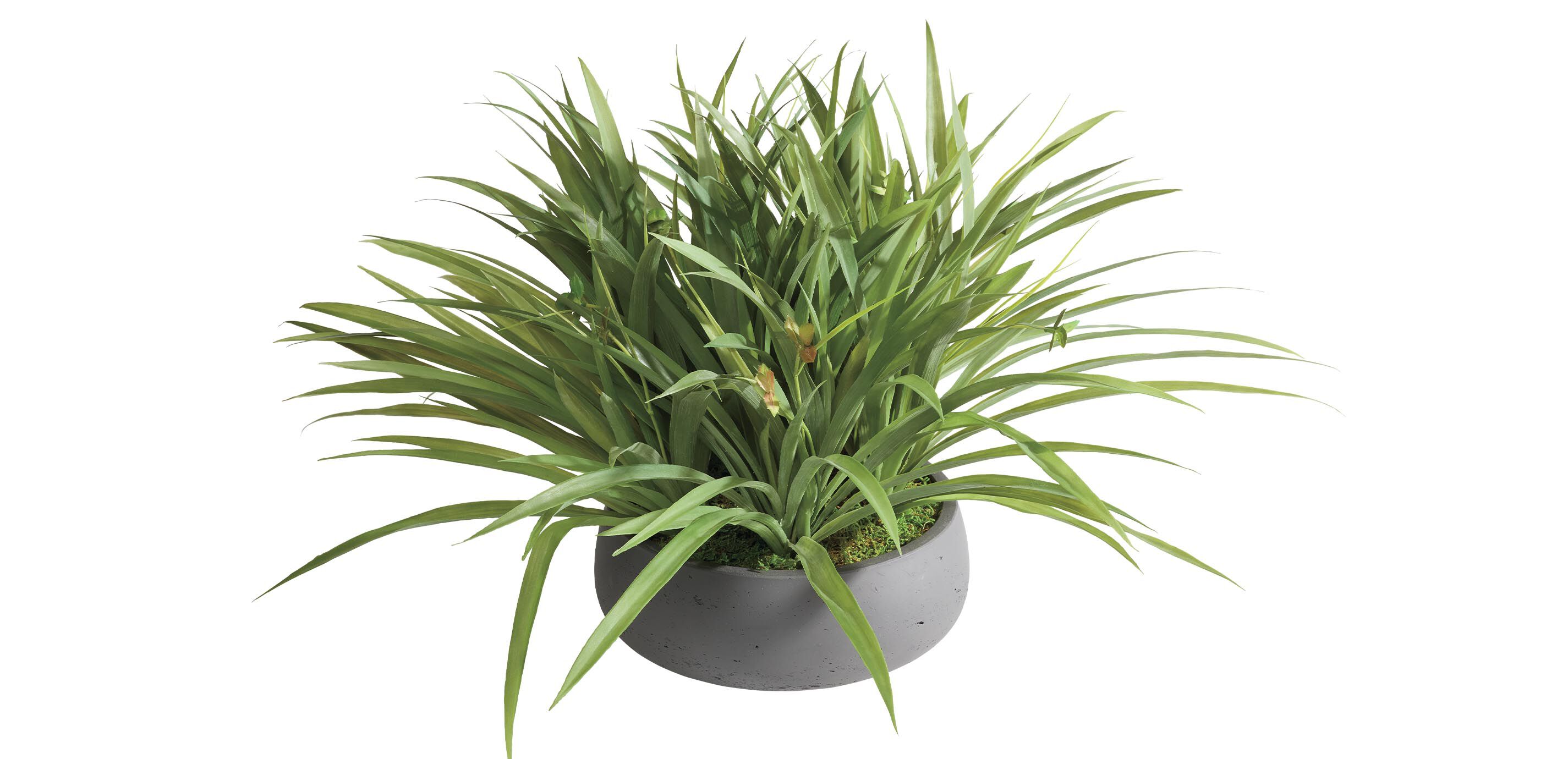 Grass Arrangement in Black Pot_1