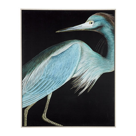 Grand Heron I image 073146A