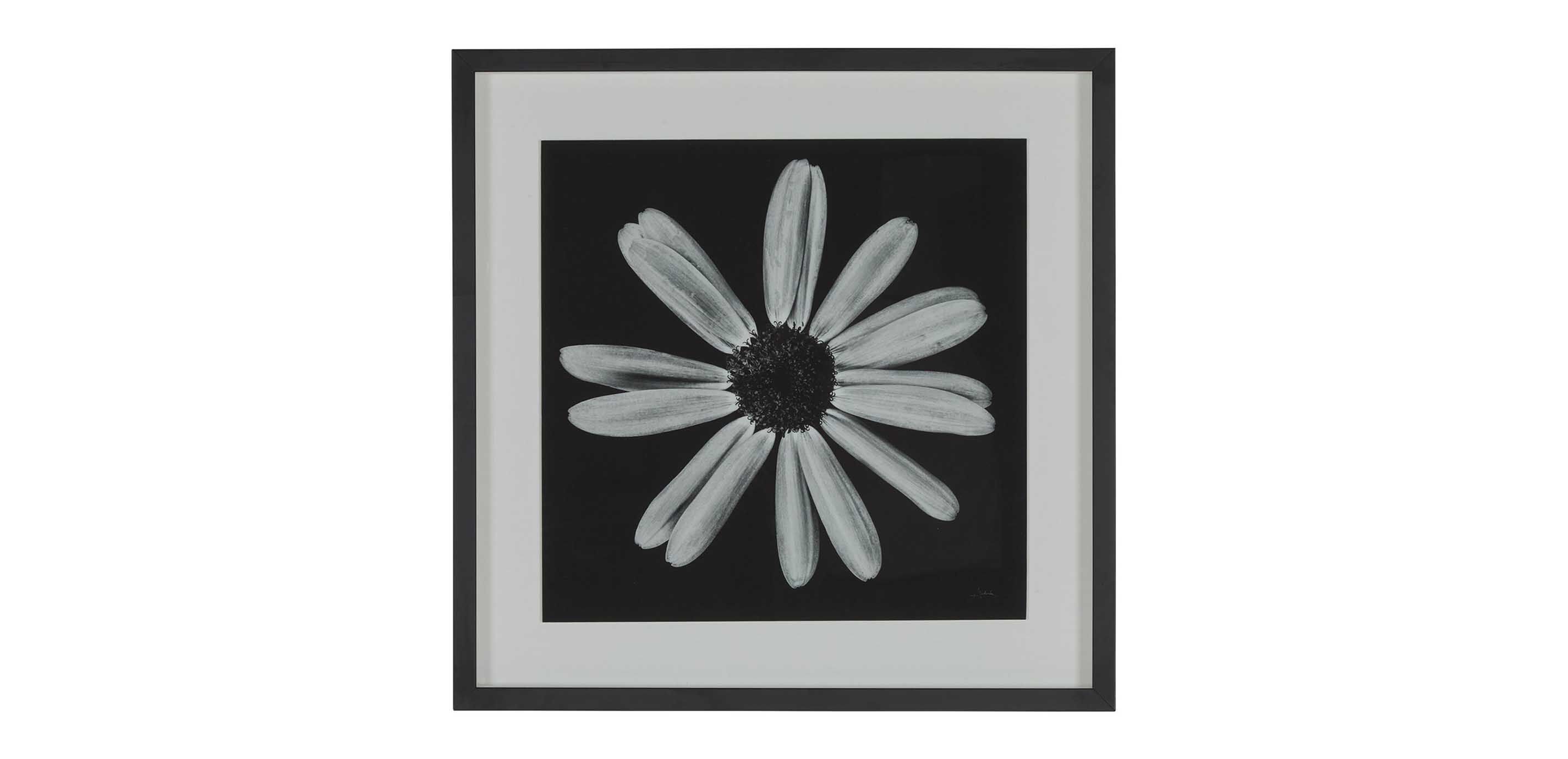 Black Botanical III