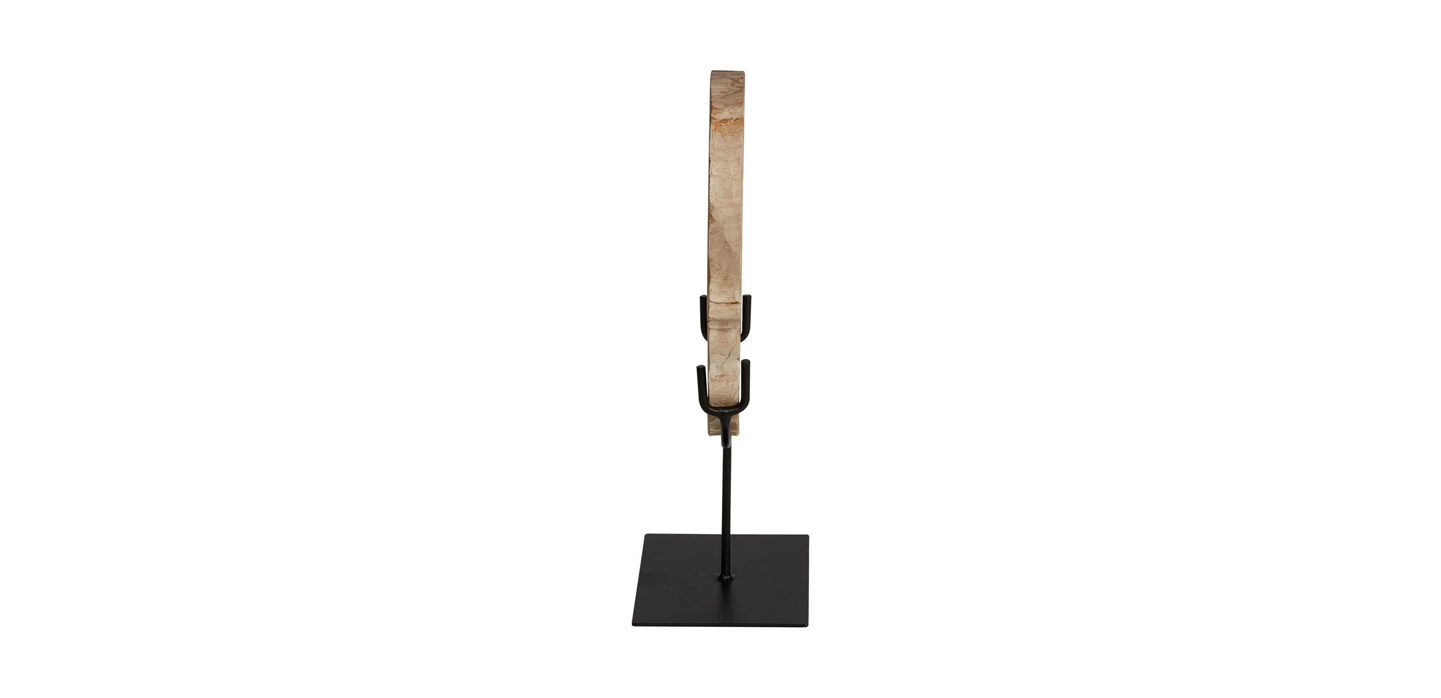 Petrified Wood on Stand_2