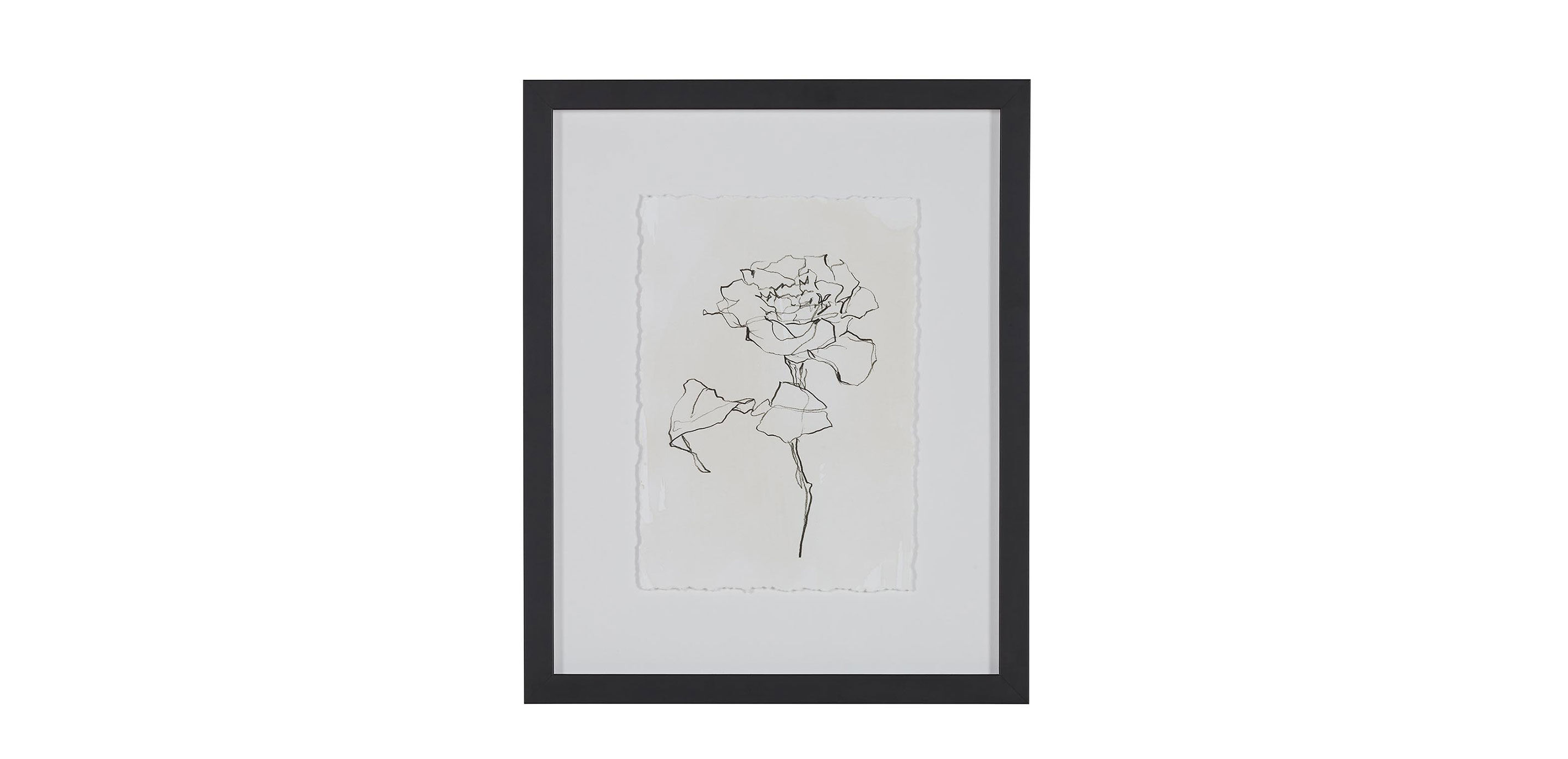 Floral Contour Study I