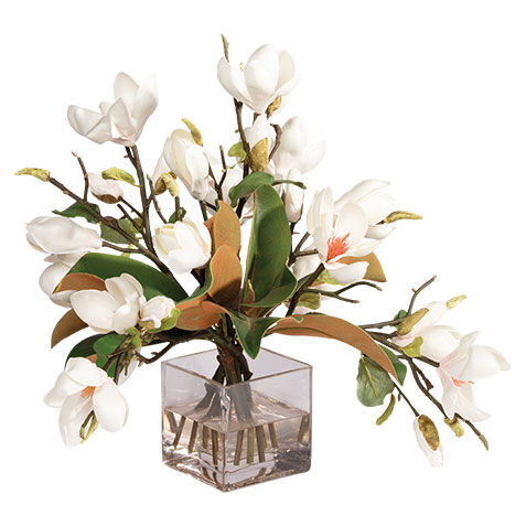 Magnolia Foliage Watergarden in Glass Cube image 442204