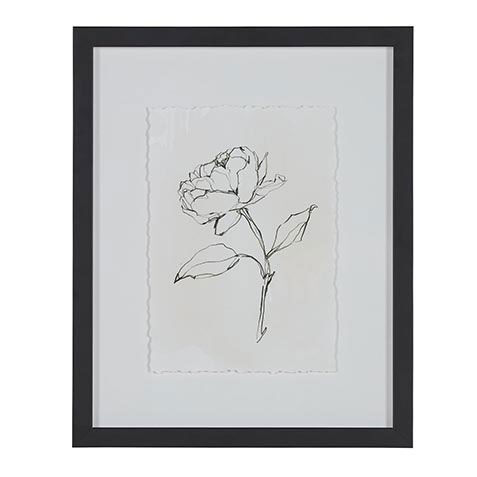 Floral Contour Study II image 073186B