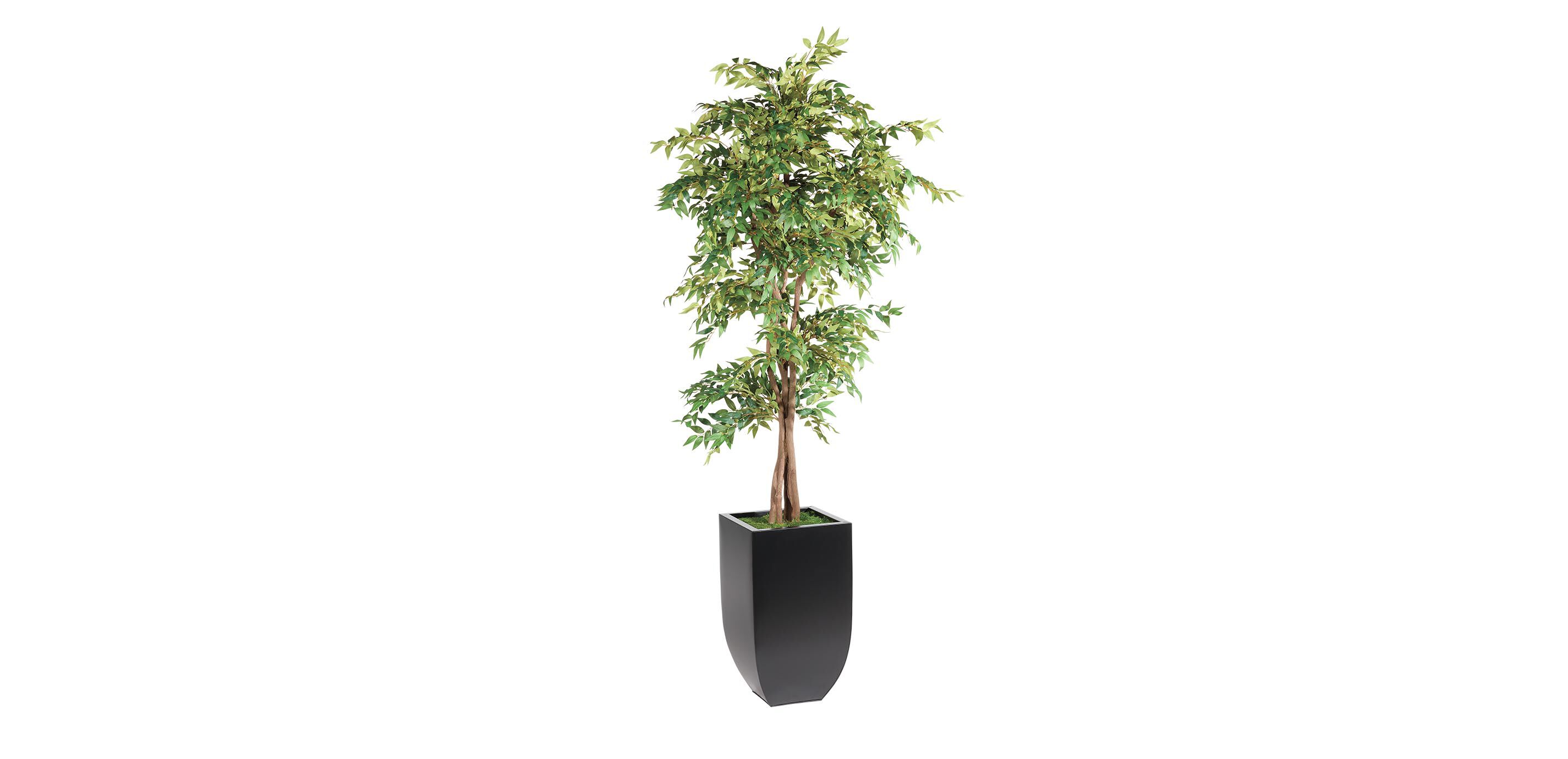 Smilax Tree in Metal Container_1