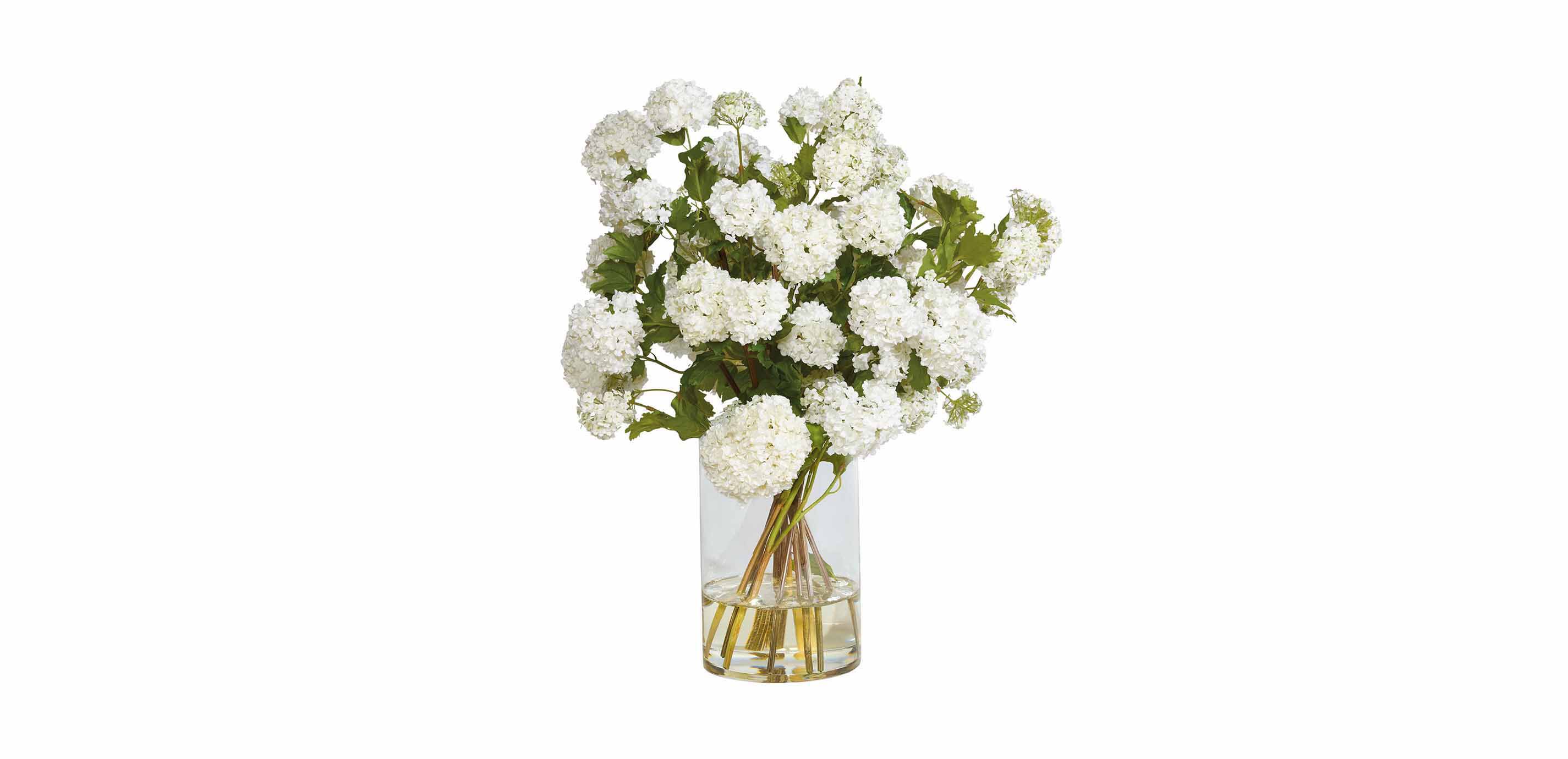 White Snowball Watergarden