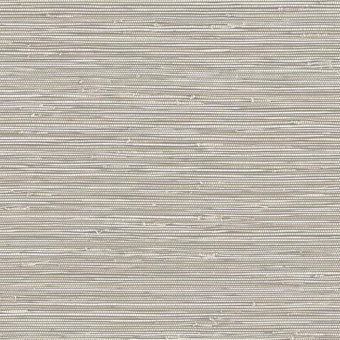 Banni Wallpaper image WQ1235