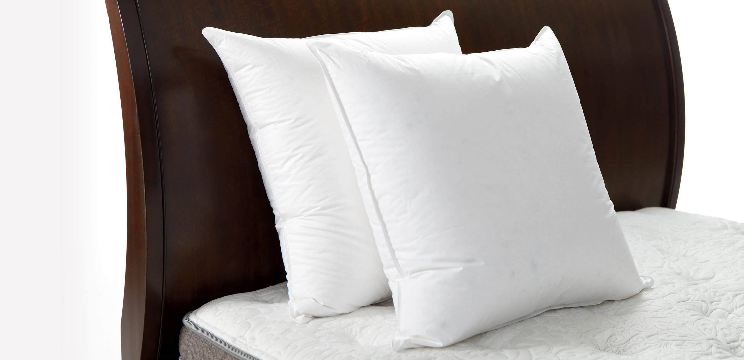 Hypoallergenic Down-Alternative Euro Pillow_1