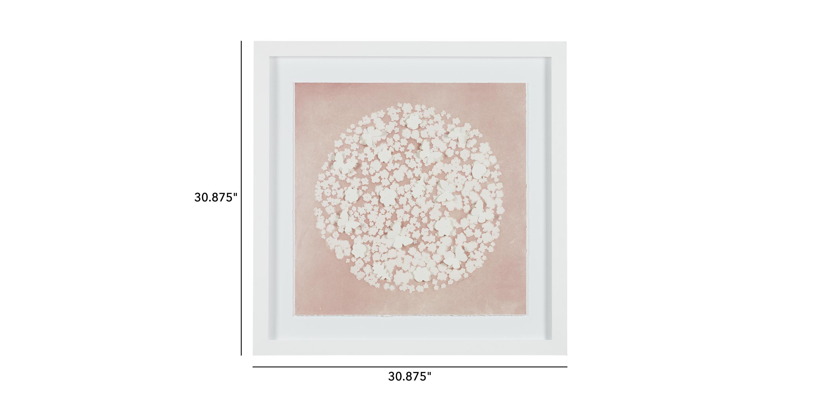 Daisy Dream V_1