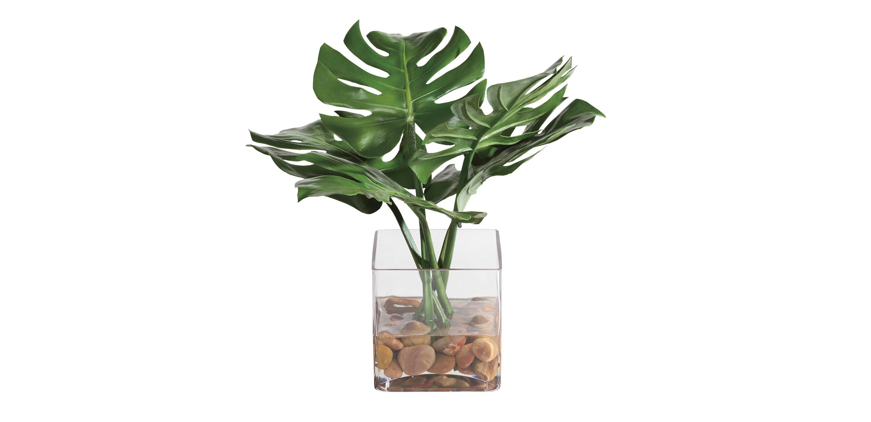 Tropical Leaf Watergarden