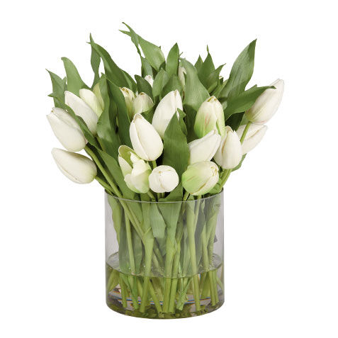 White Tulip Watergarden image 446382A