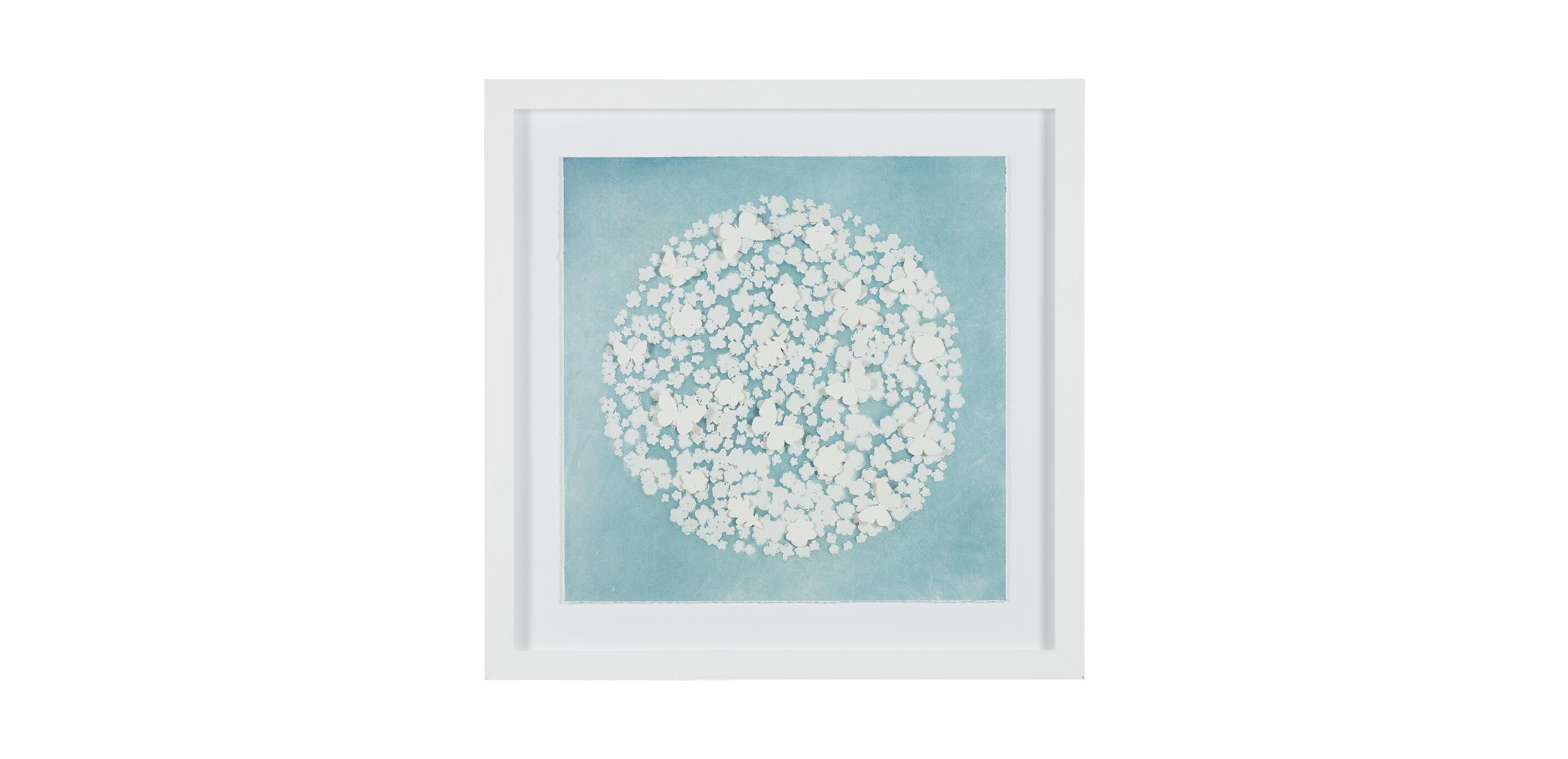 Daisy Dream II