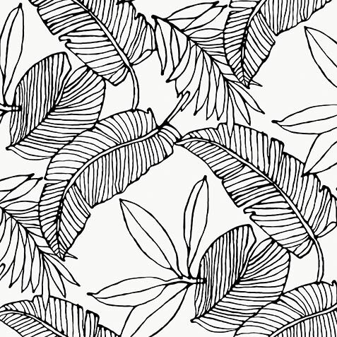 Tropical Breeze Wallpaper image WQ1368