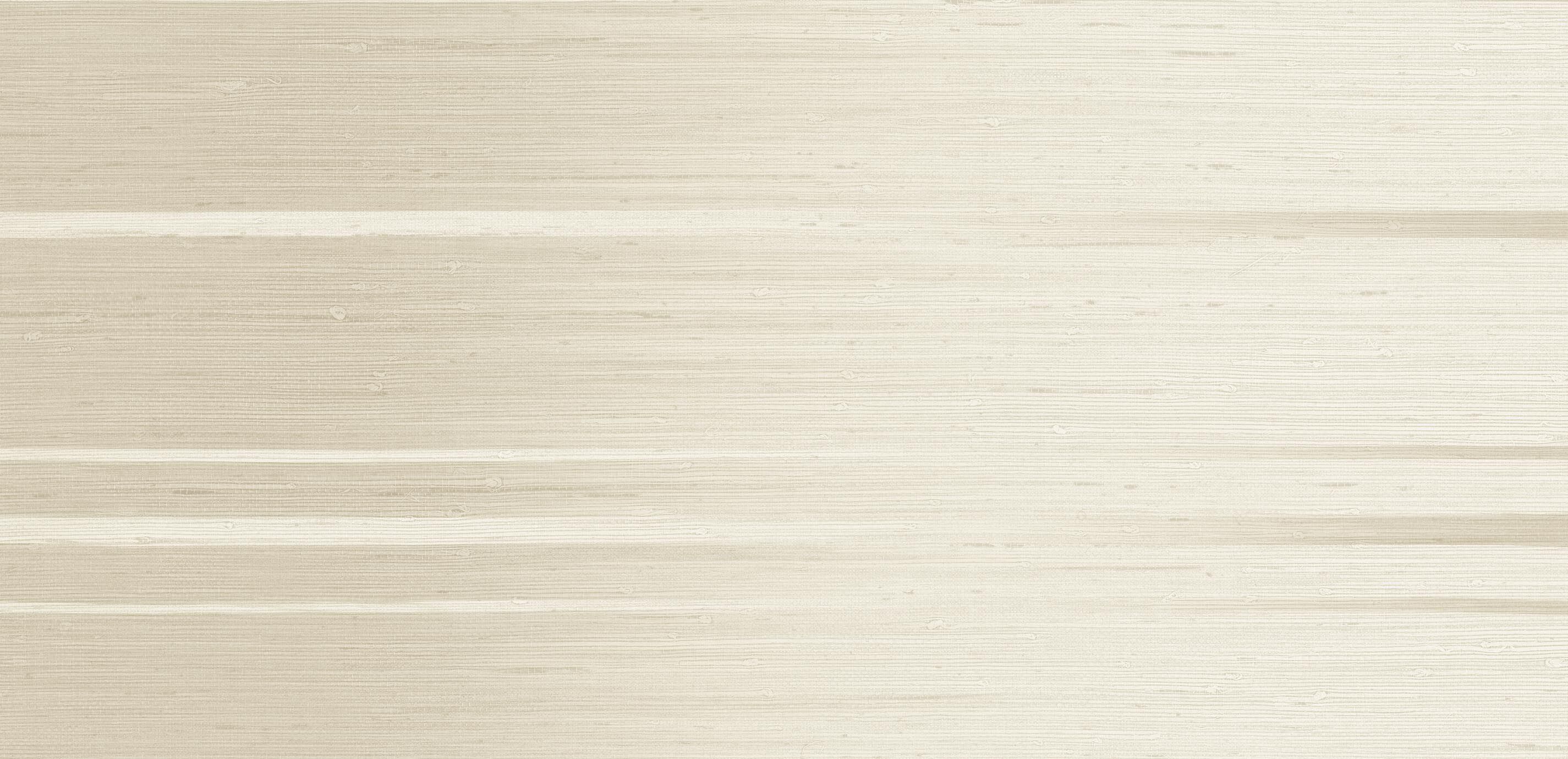Teddy Wallpaper