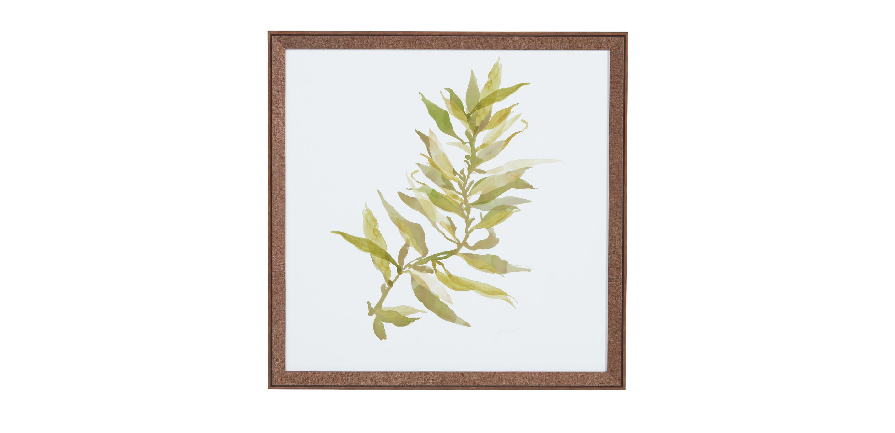 Soft Seaweed