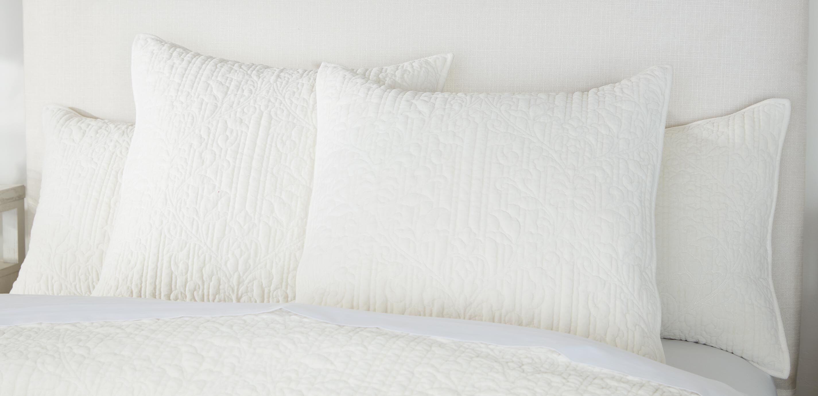 Garment-Dyed Velvet Euro Shams, Ivory (set of 2)