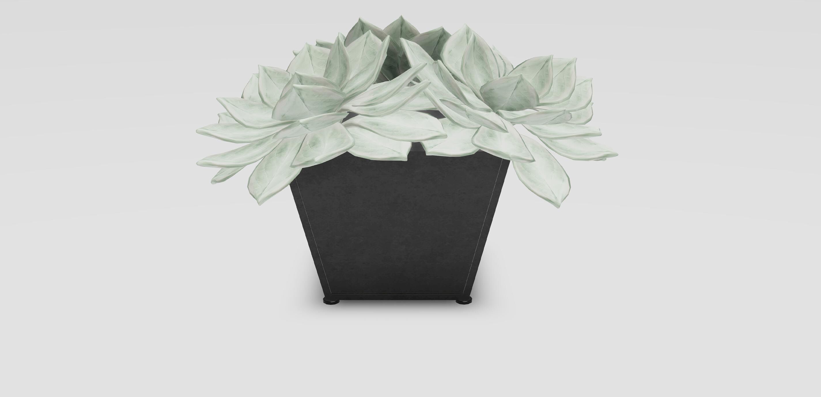 Succulents in Metal Container 1