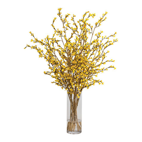 Tall Forsythia Watergarden image 446637