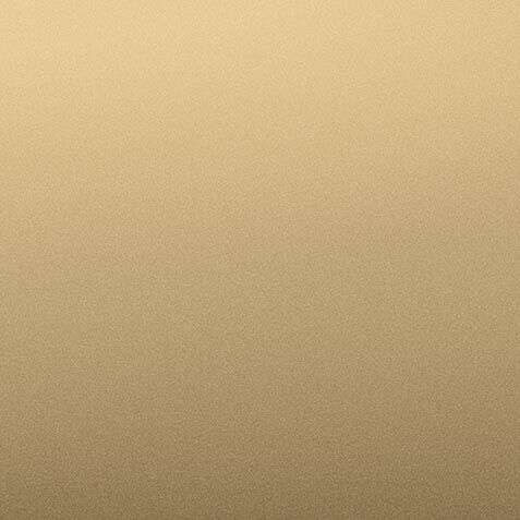 Champagne (10C) Finish Sample image 9824NS      10C
