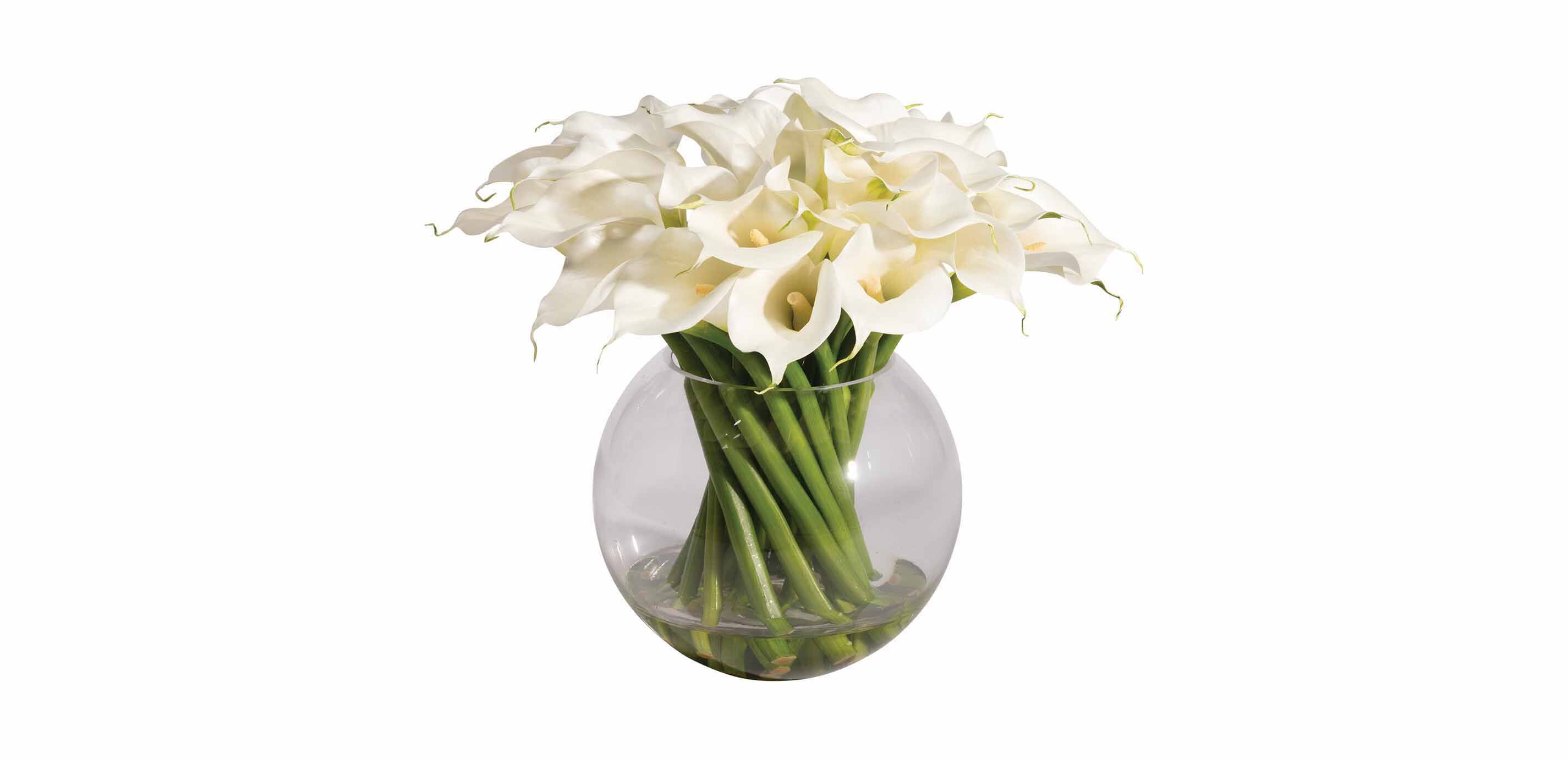 Calla Lilies in Vase