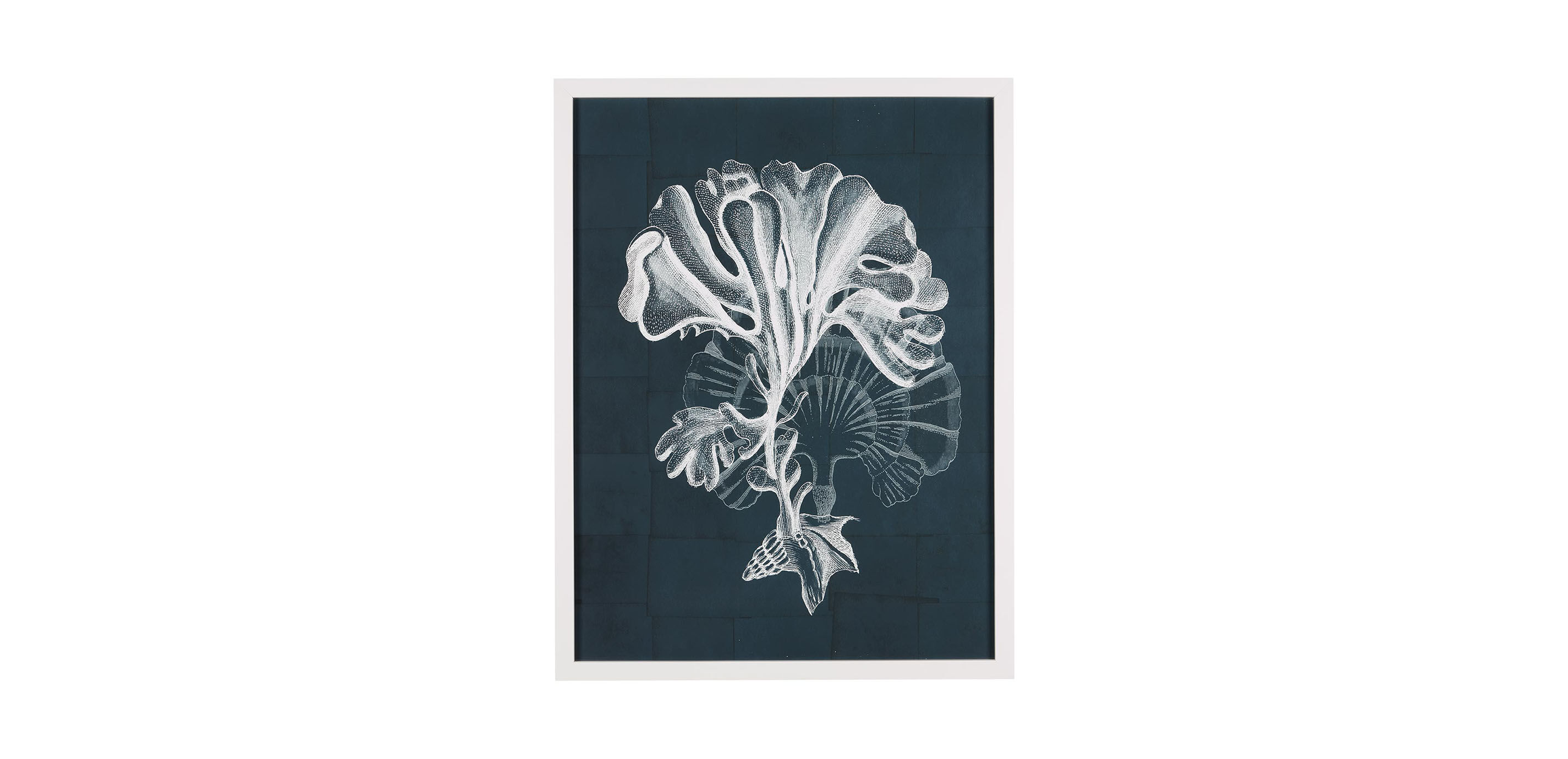Nautical Coral I