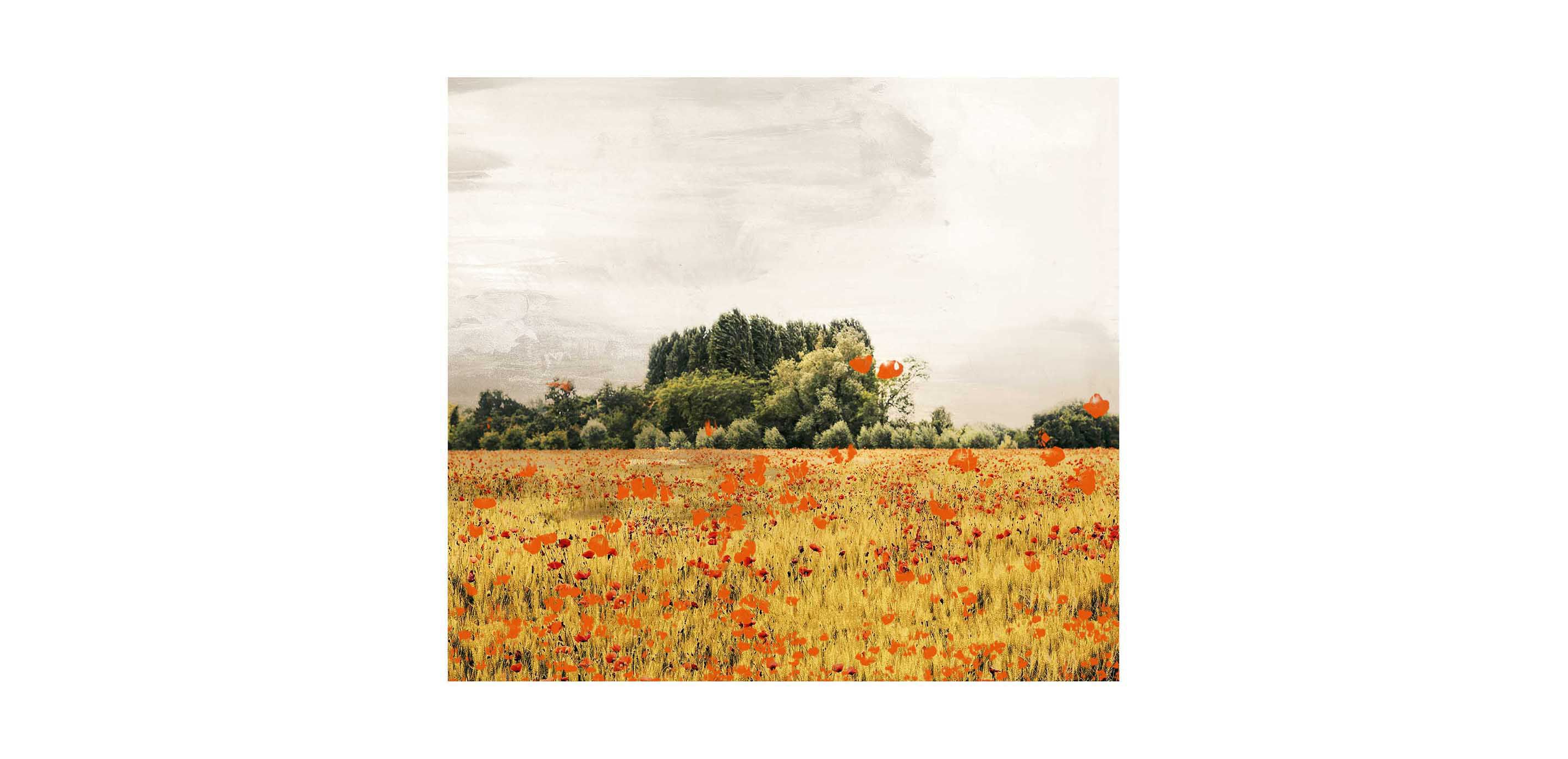 Painted Field