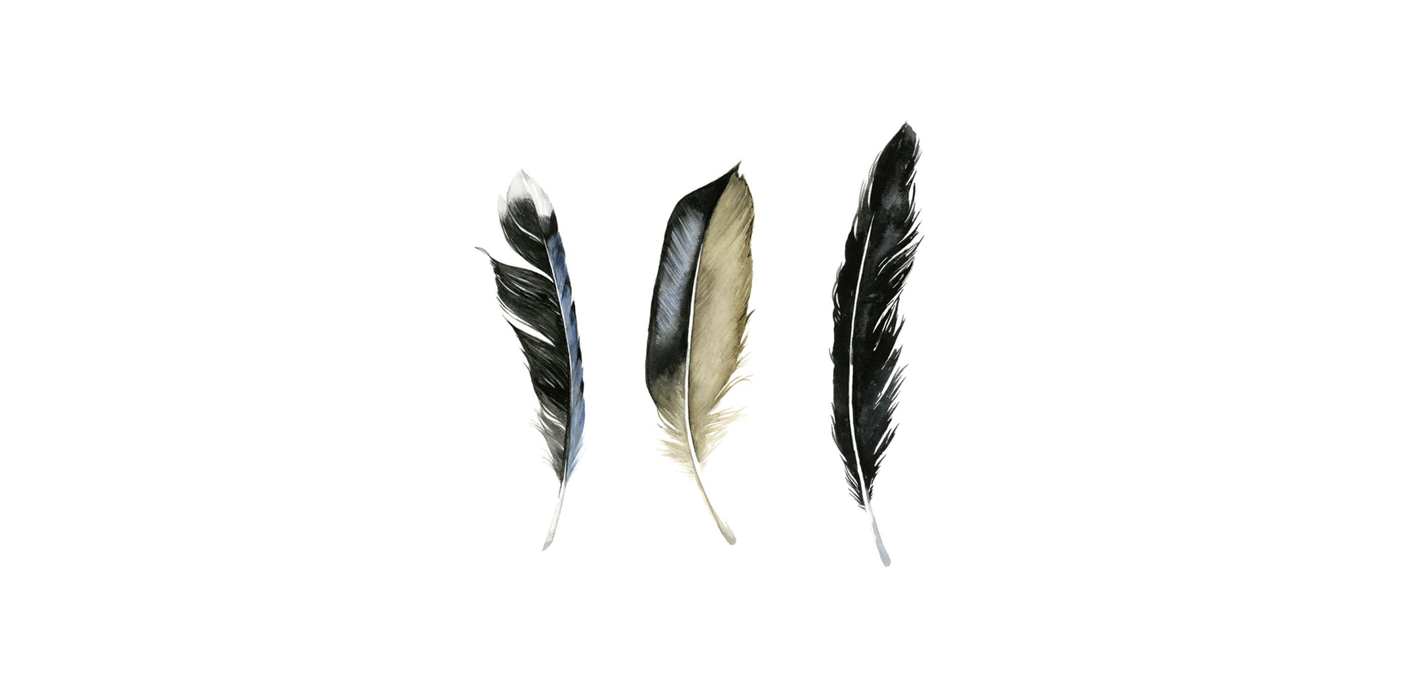 Soft Feathers II