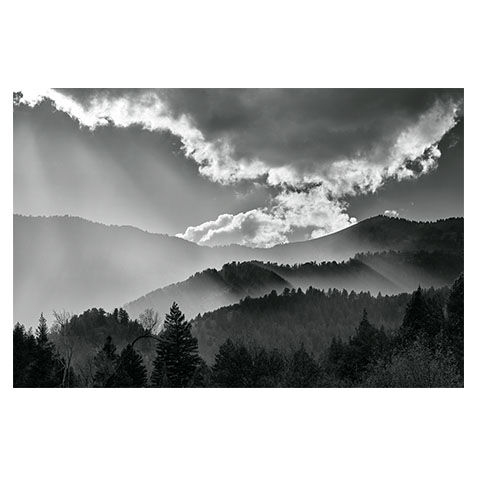 Wood Camp Light image 1130151