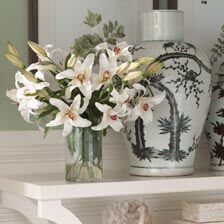 Casablanca Lily Watergarden Product Tile Hover Image 446625