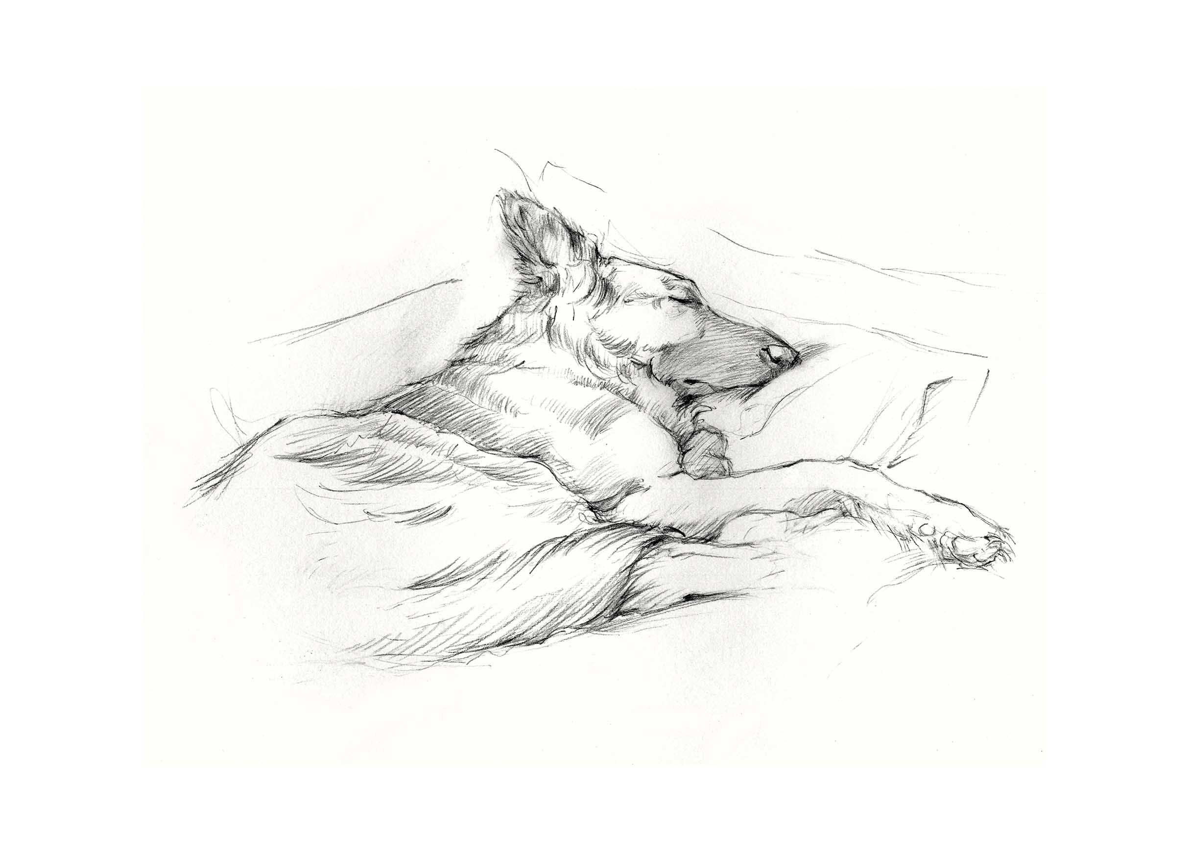 Dog Days IV