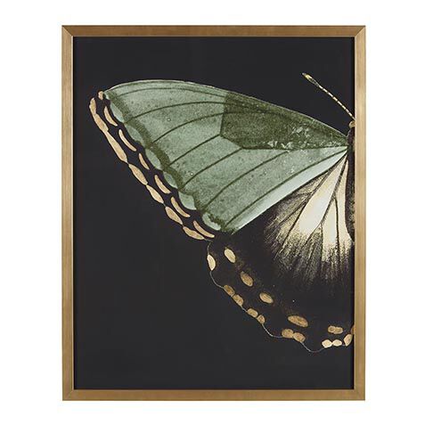 Emerald Wing I image 073213A