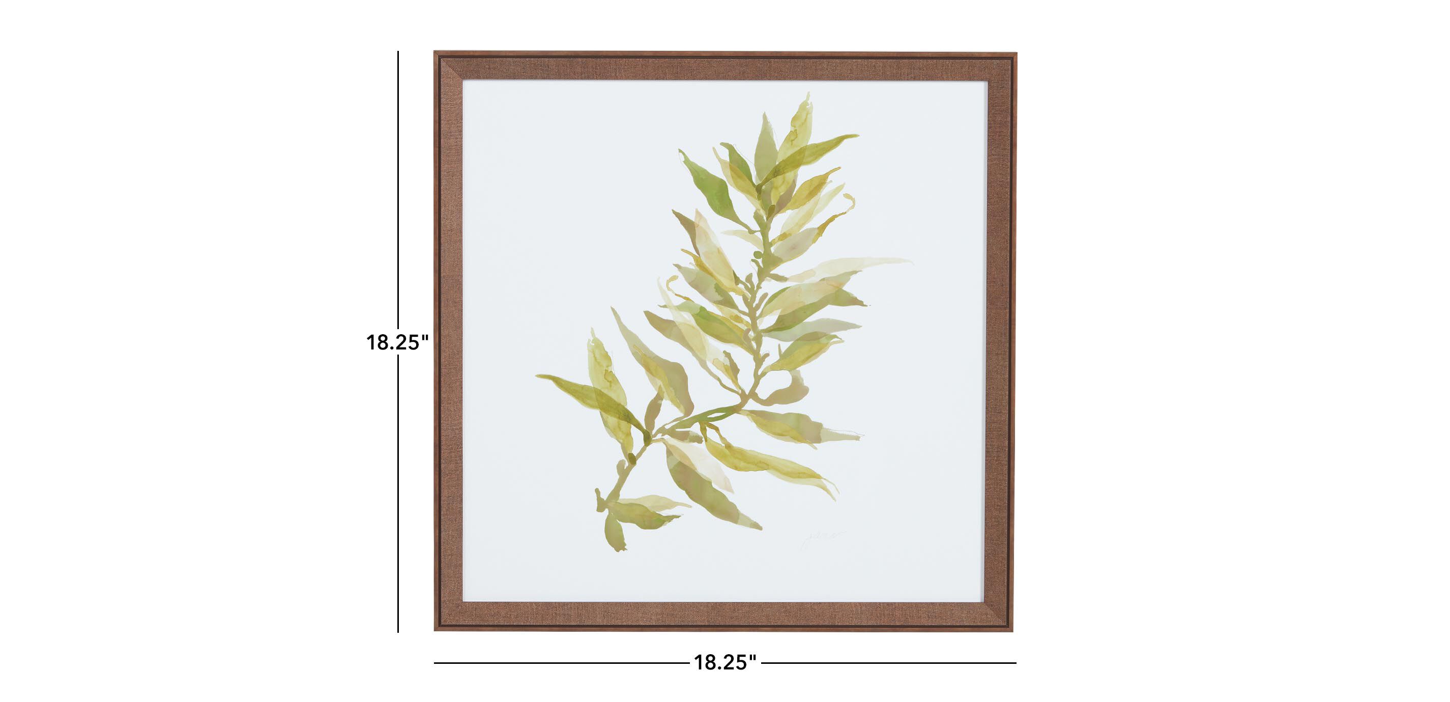 Soft Seaweed_1