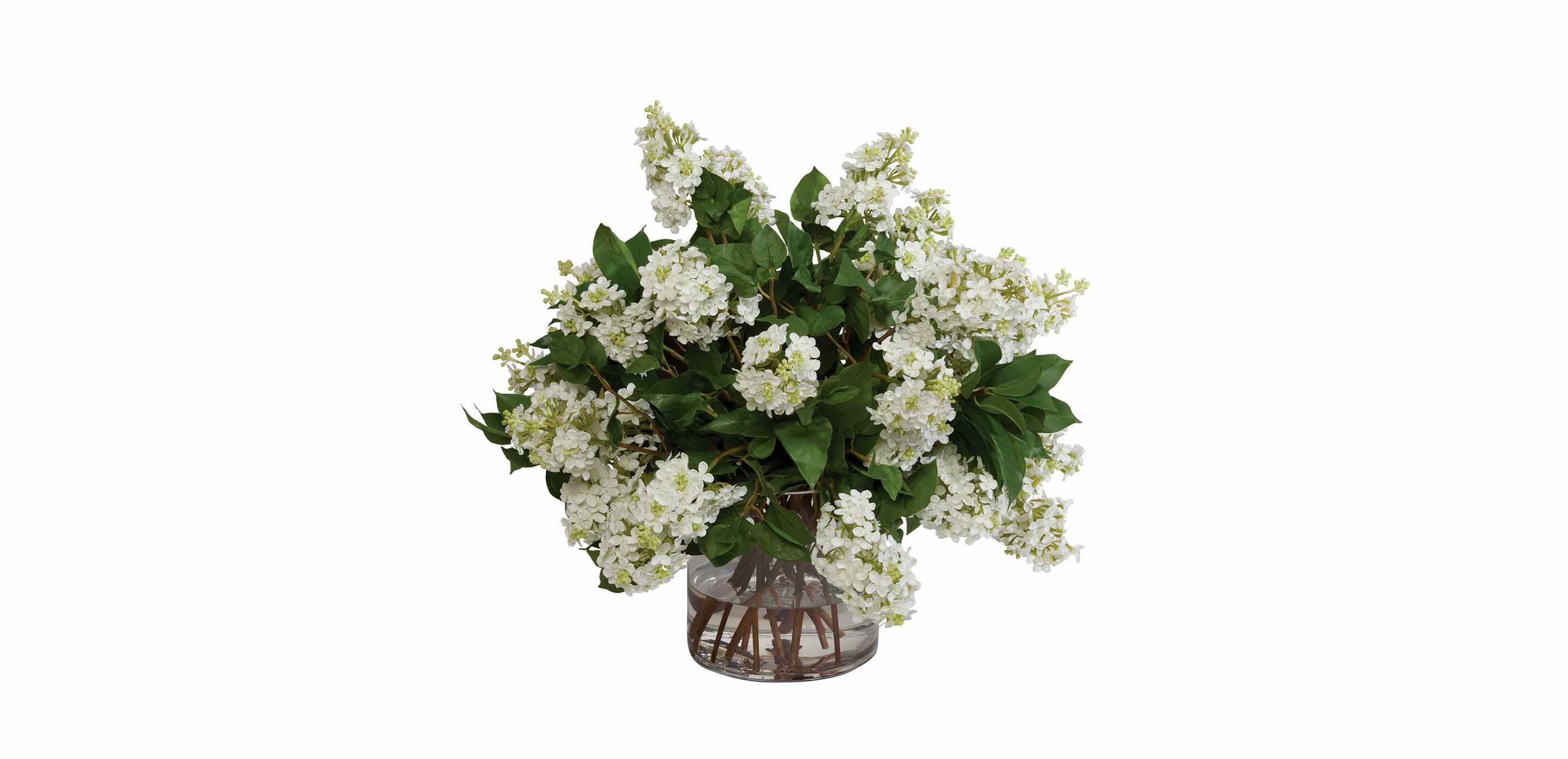 White Lilac Watergarden