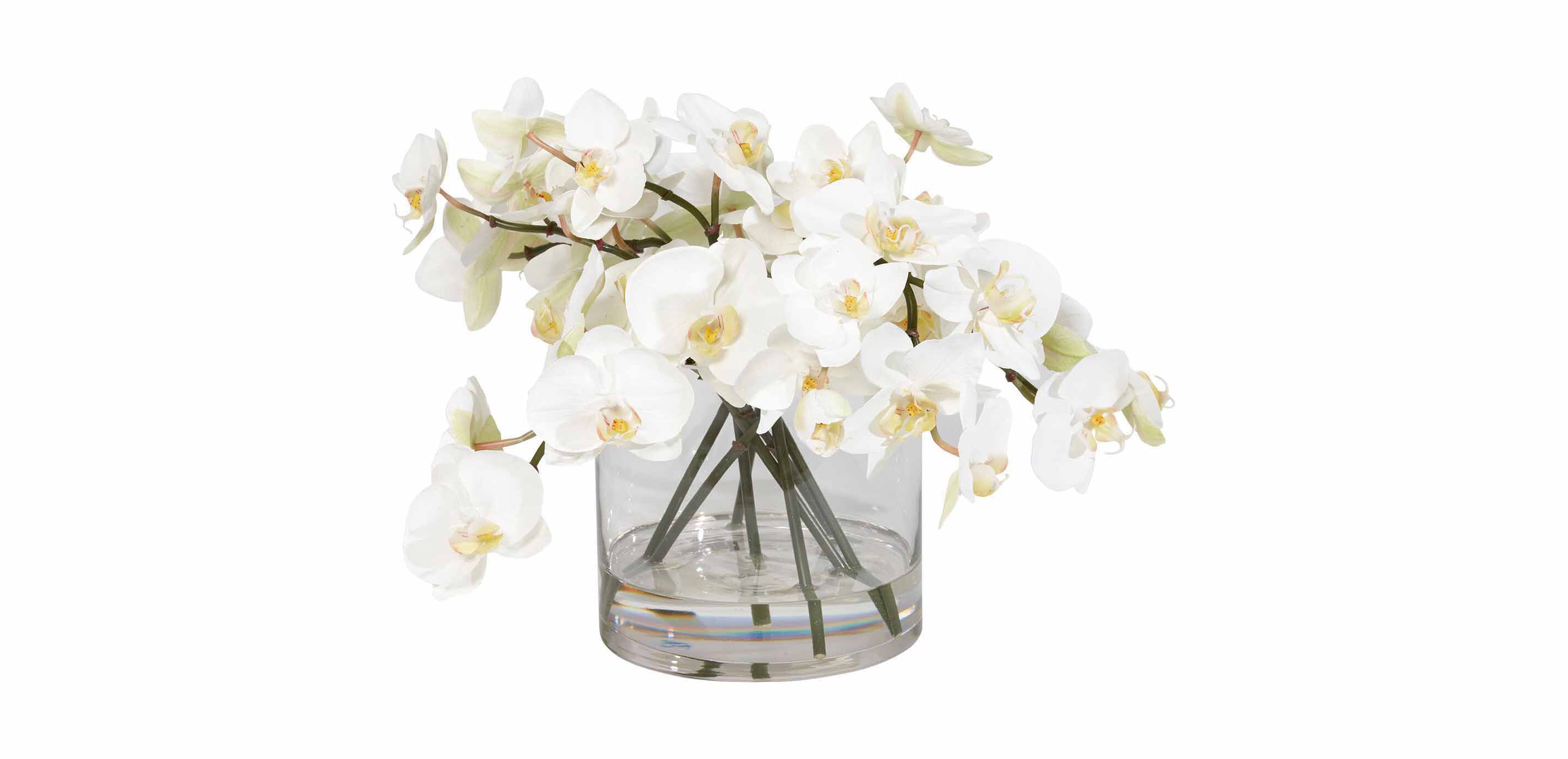 Orchids in Glass Cylinder