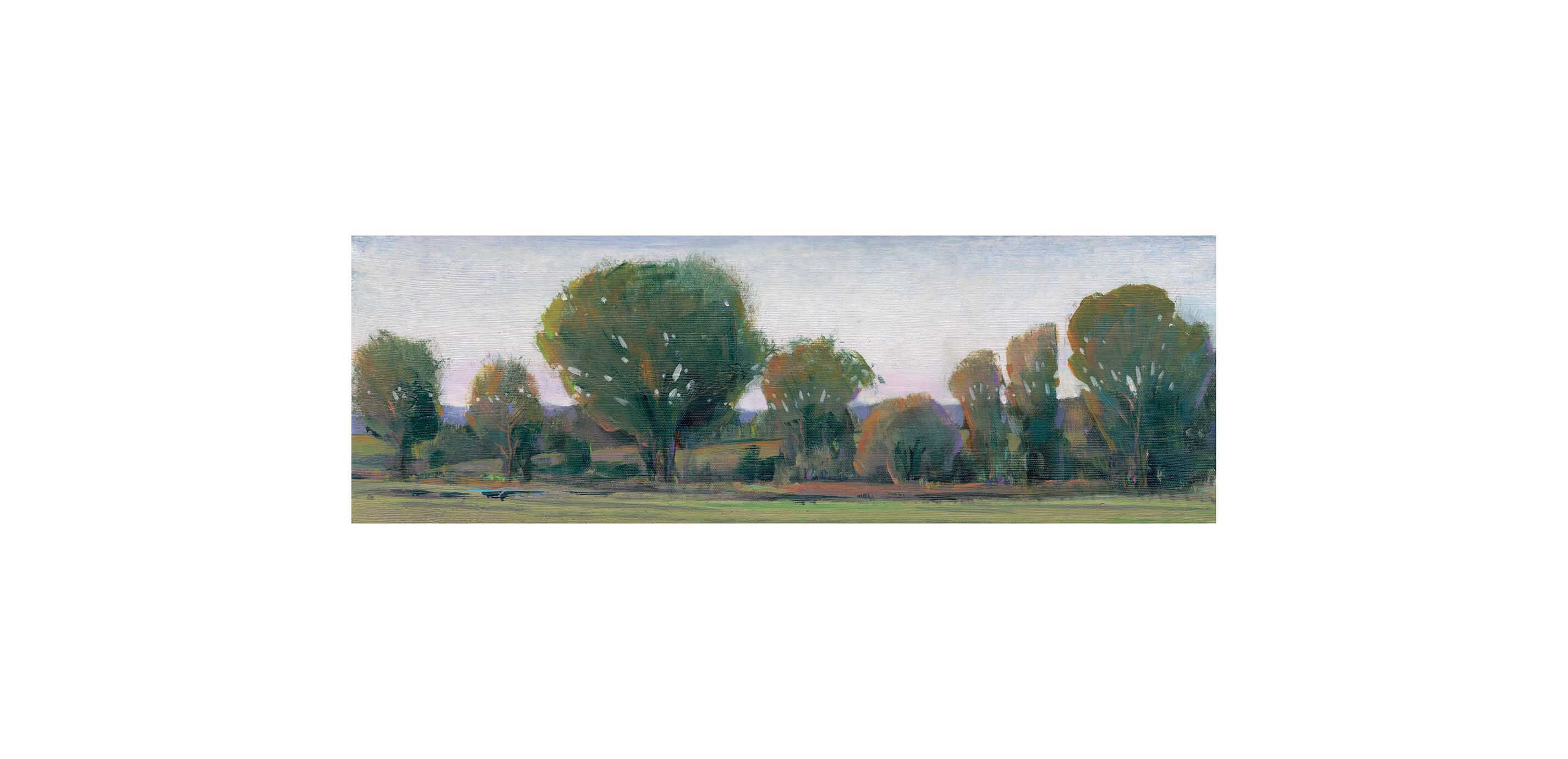 Panoramic Treeline II