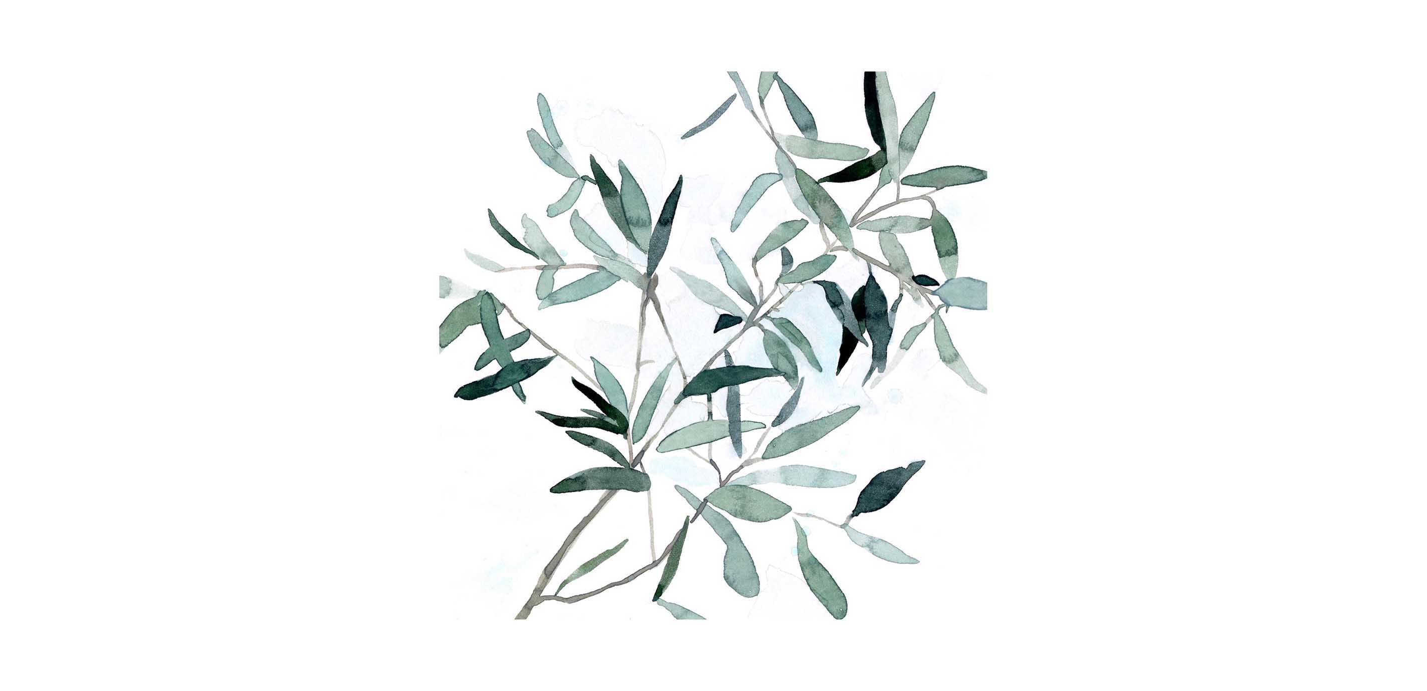 Serene Eucalyptus II
