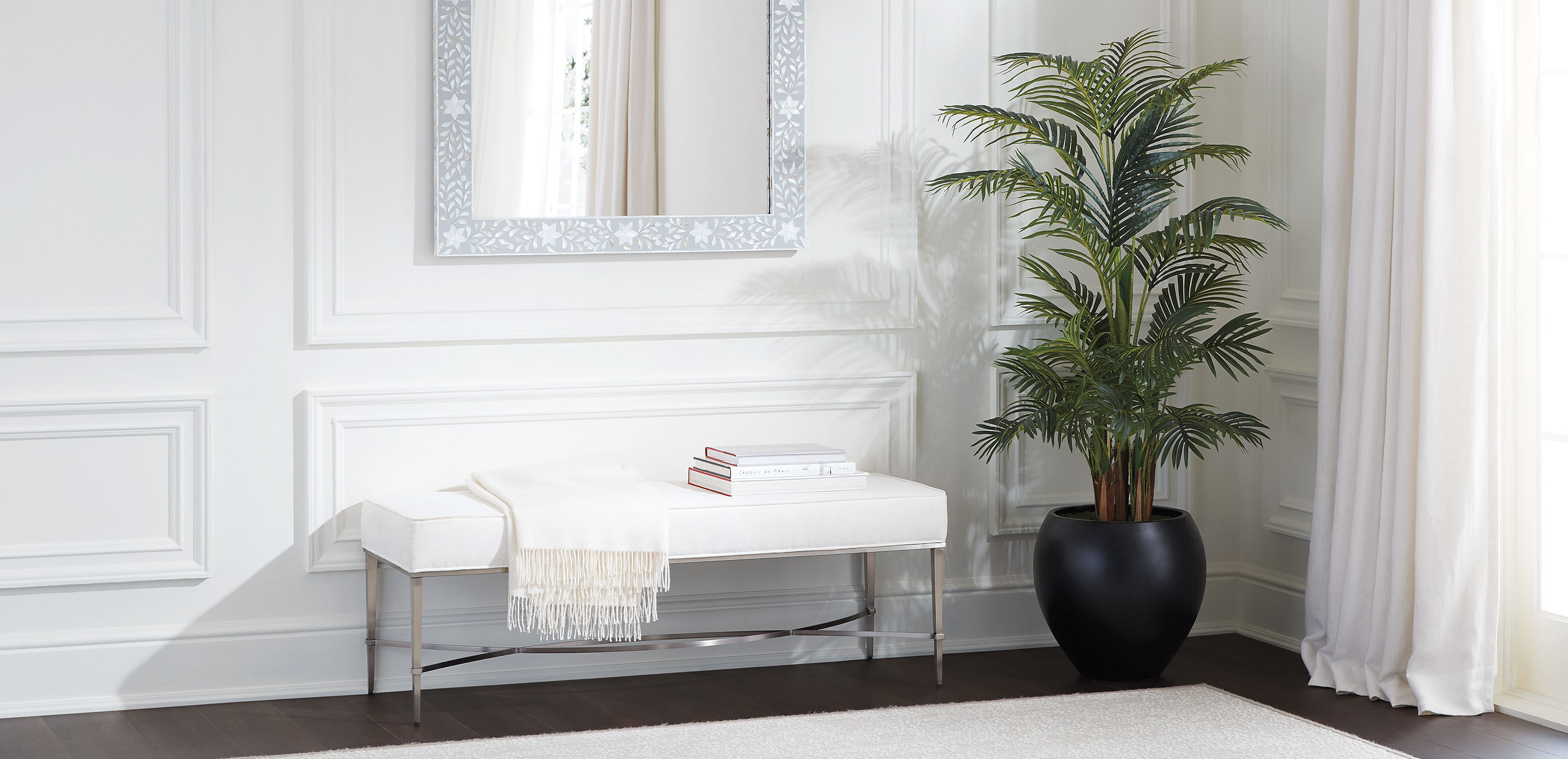 Areca Palm Tree_3
