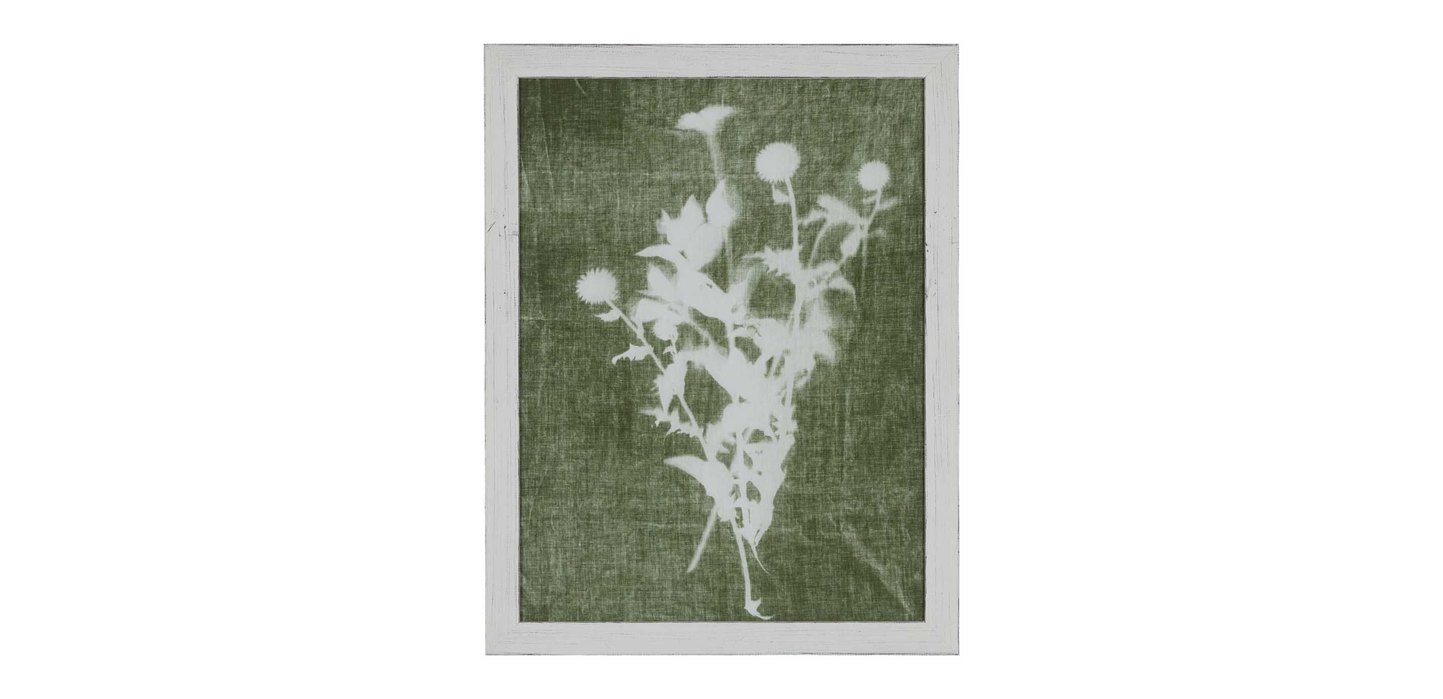 Sage Silhouette II