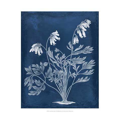 Botanical In Indigo I image 1130328