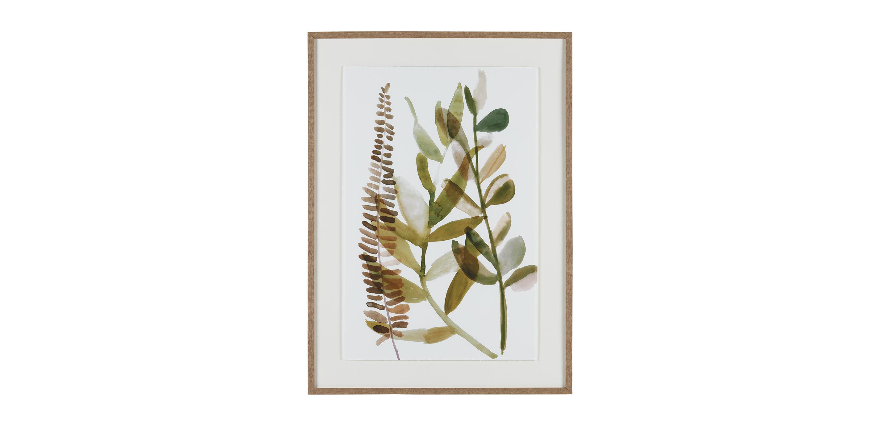 Ridge Ferns I