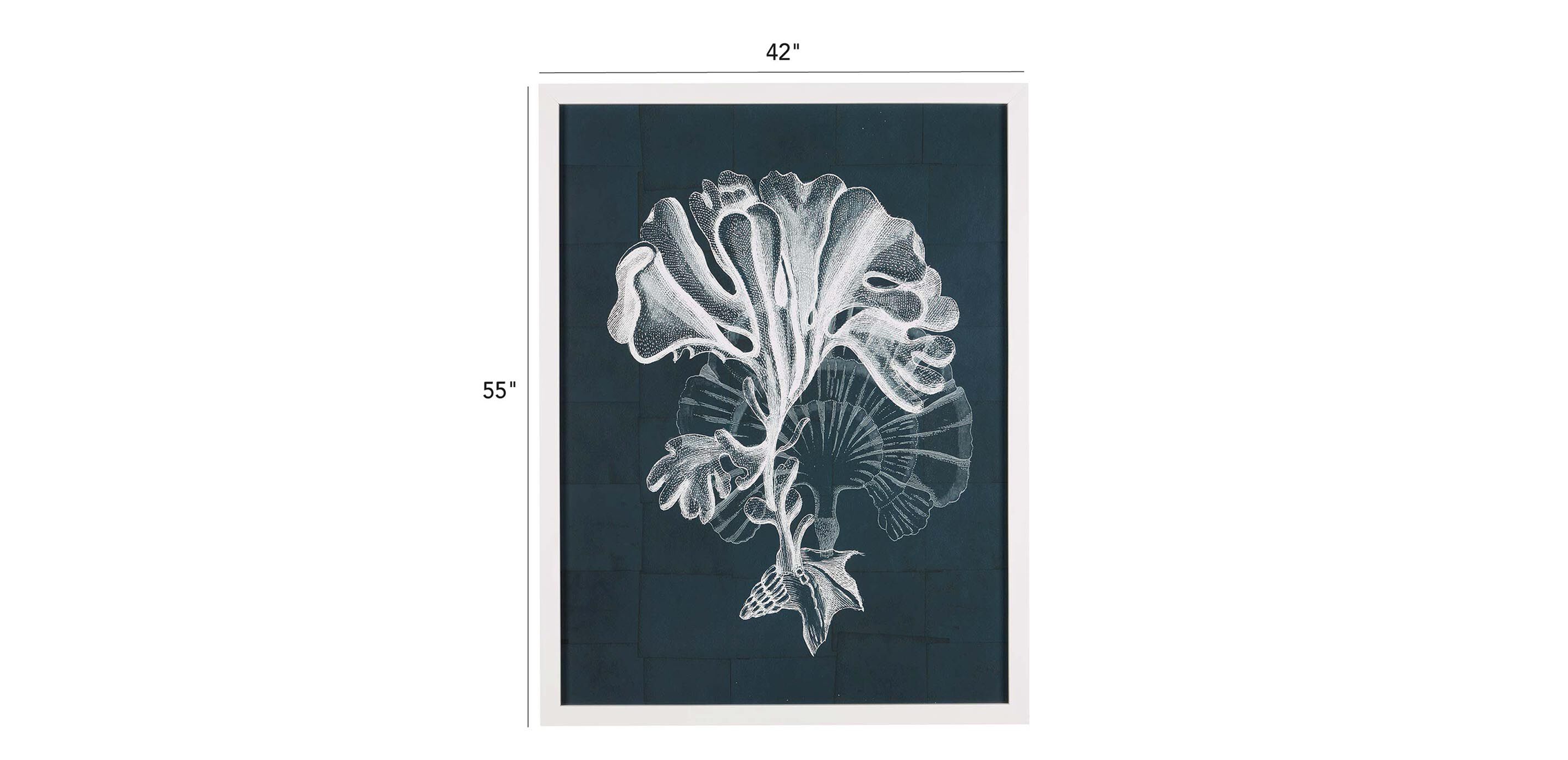 Nautical Coral I_2