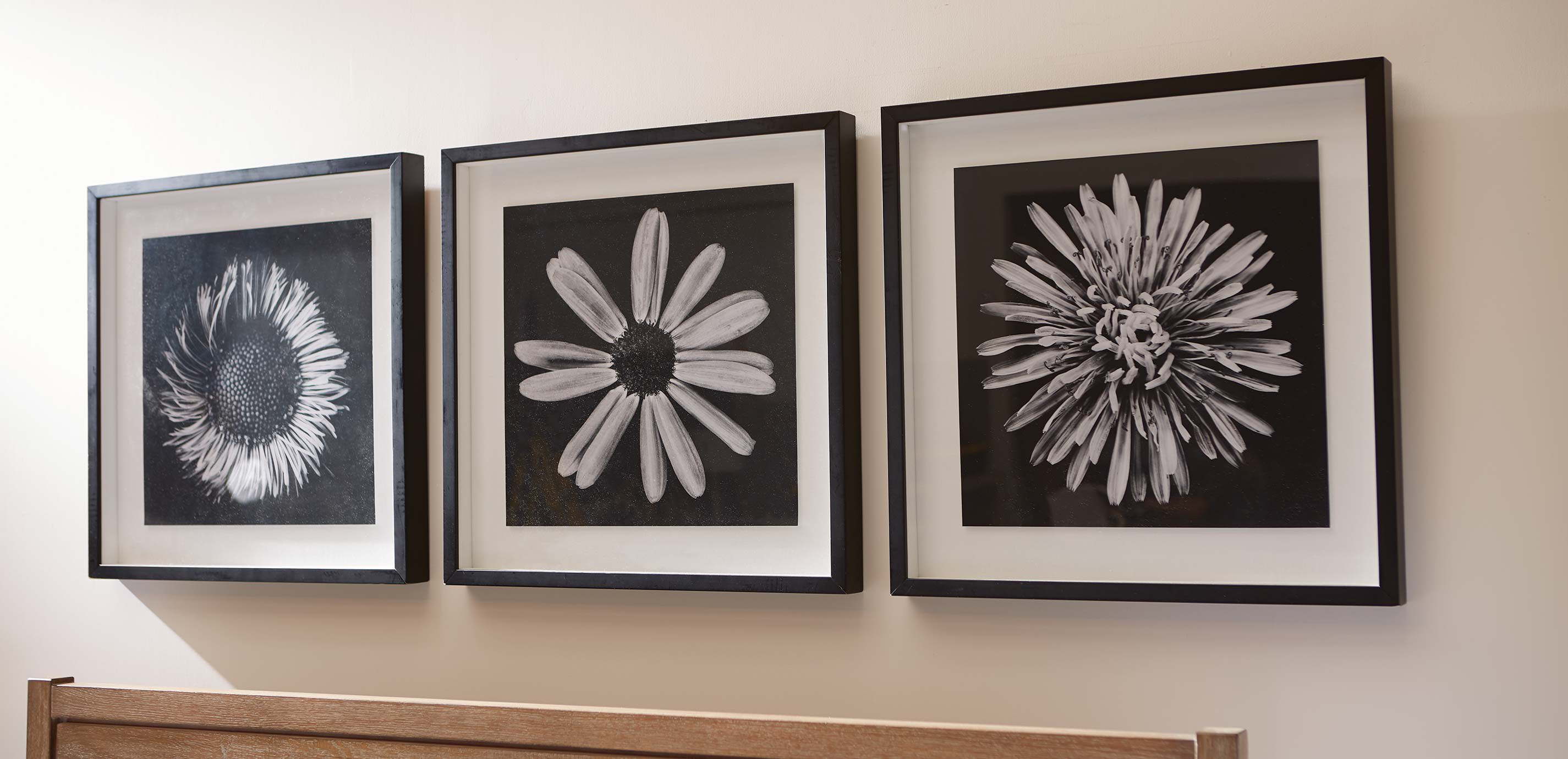 Black Botanical II_2