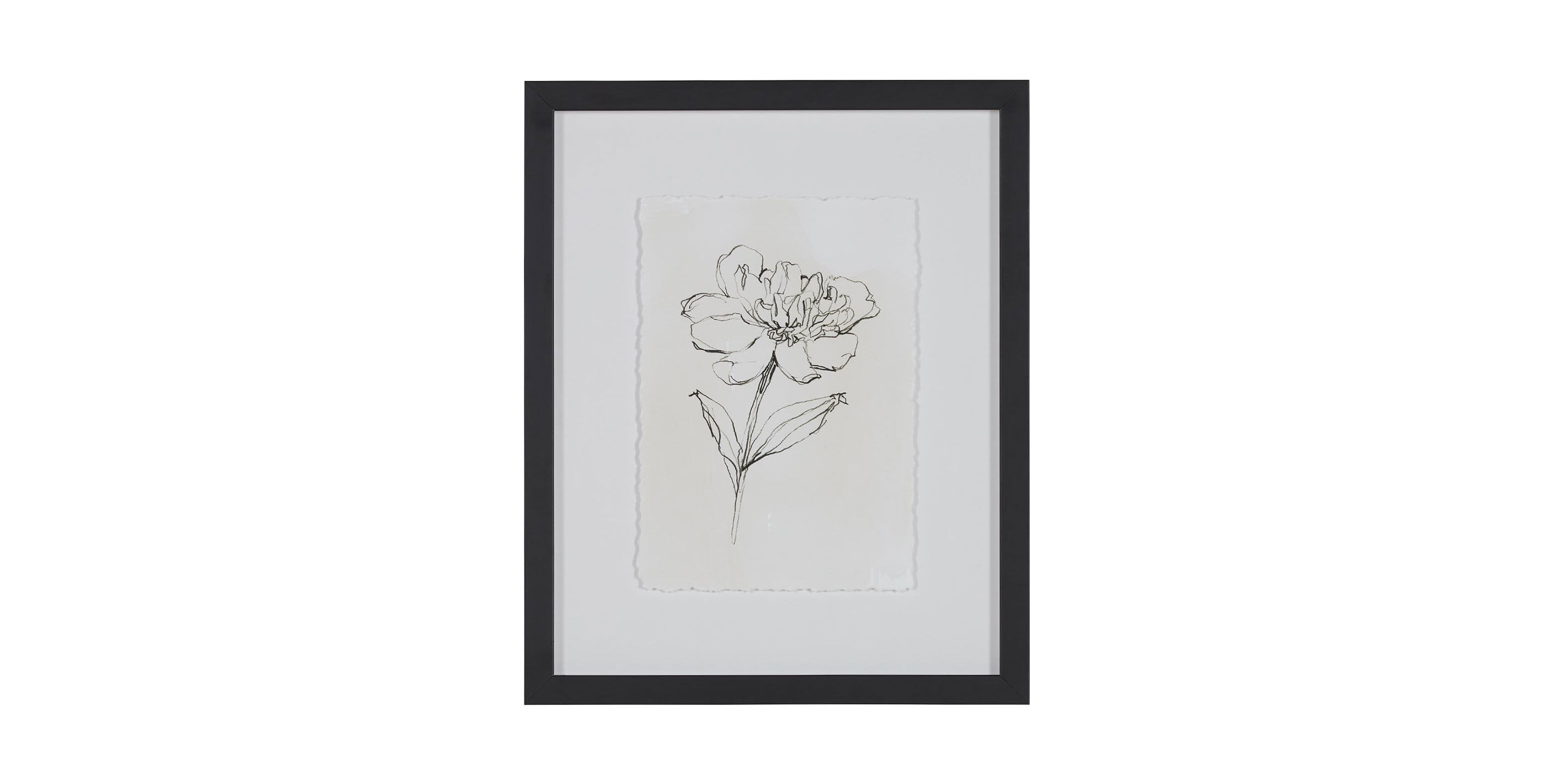 Floral Contour Study III