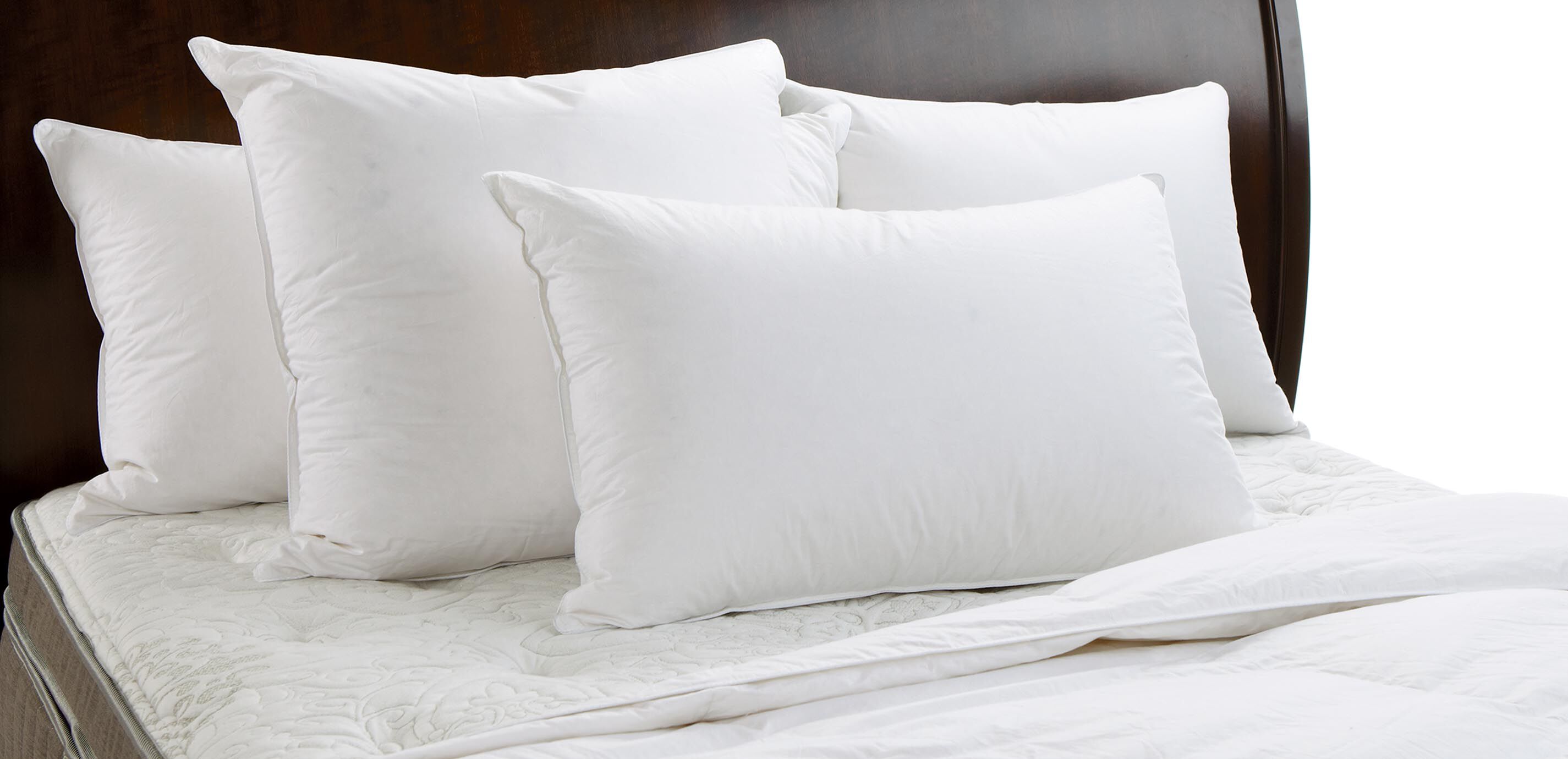 Hypoallergenic Down-Alternative Euro Pillow_2