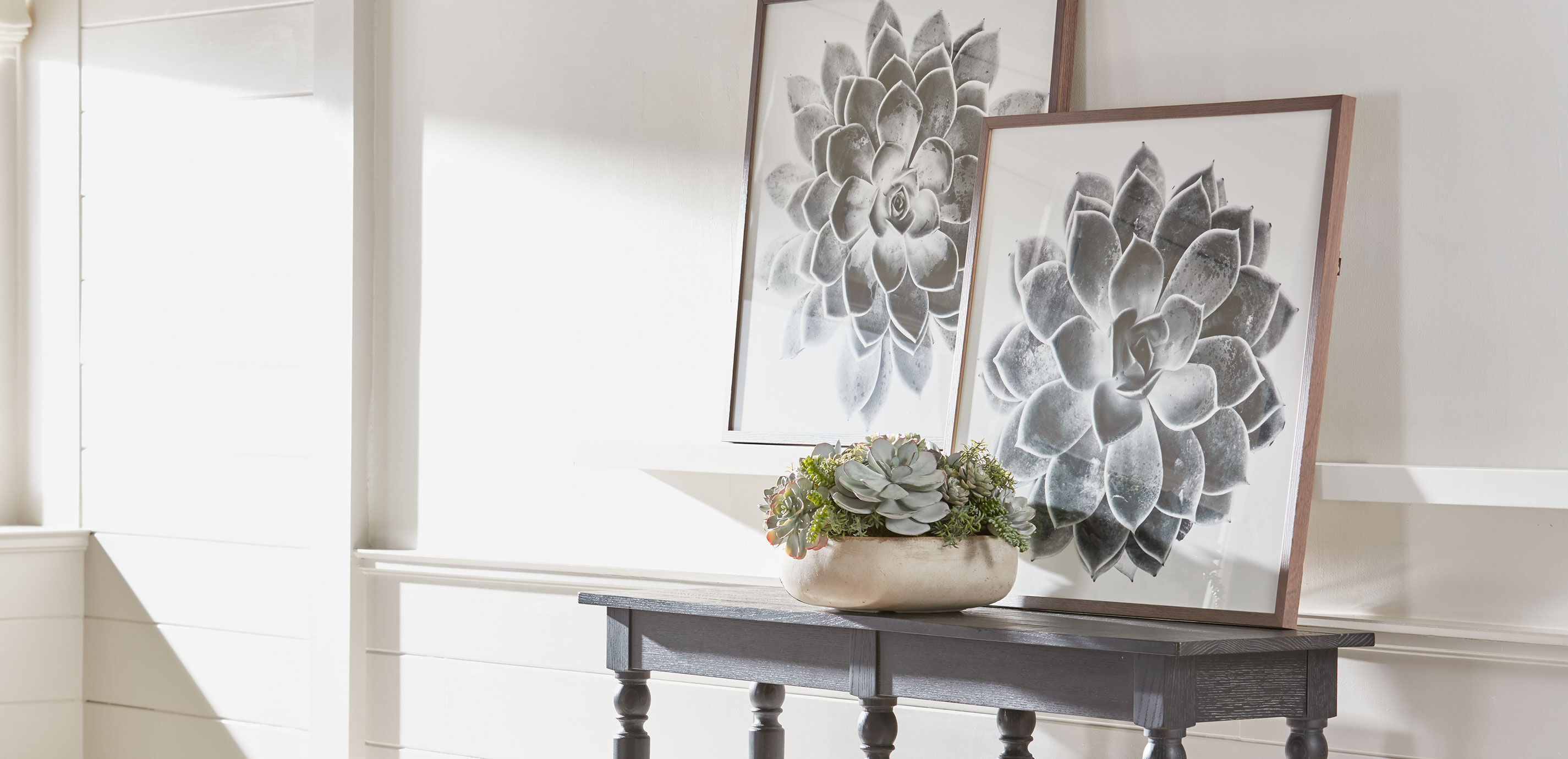 Mixed Succulents in Light Grey Cement Tray_7