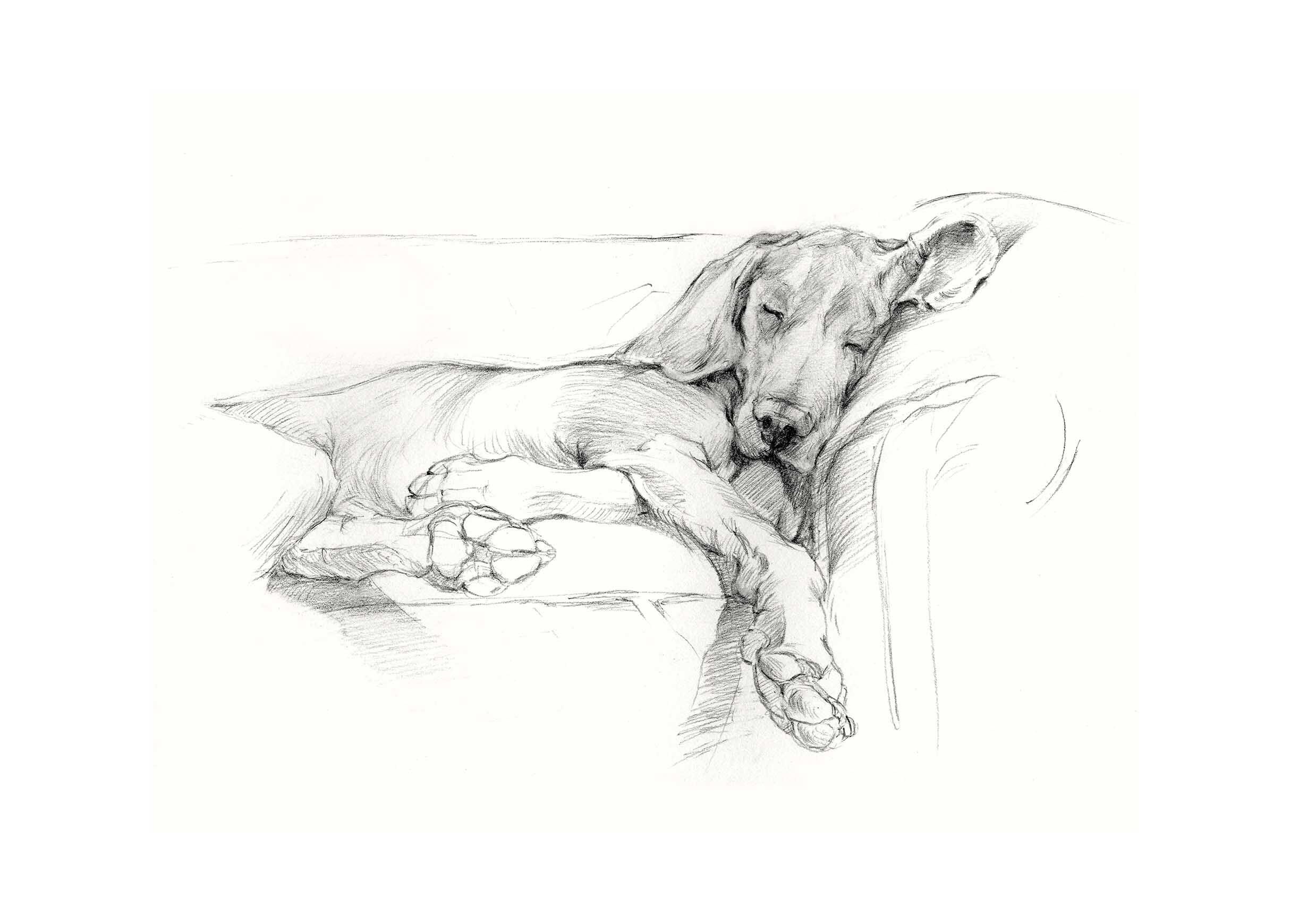 Dog Days I