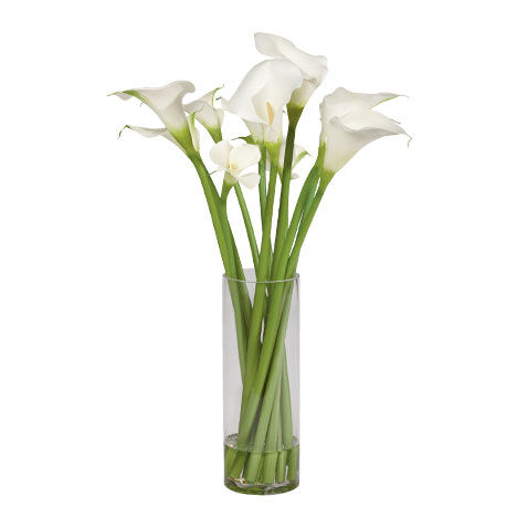 Calla Lily Tall Arrangement image 446624
